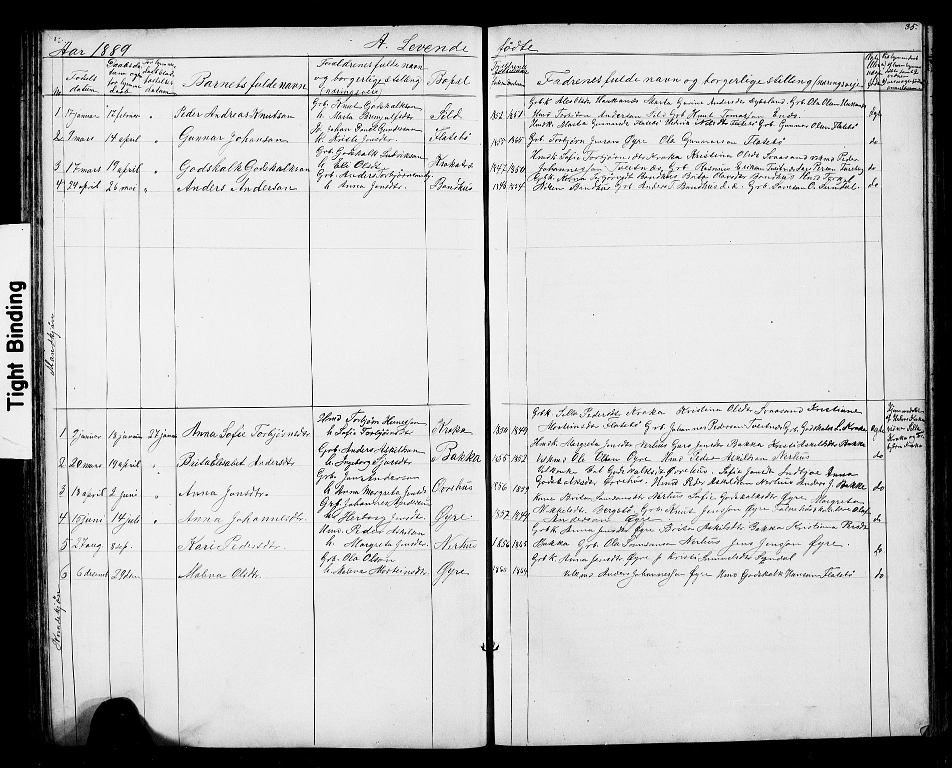 Kvinnherad sokneprestembete, SAB/A-76401/H/Hab: Parish register (copy) no. D 1, 1856-1905, p. 35