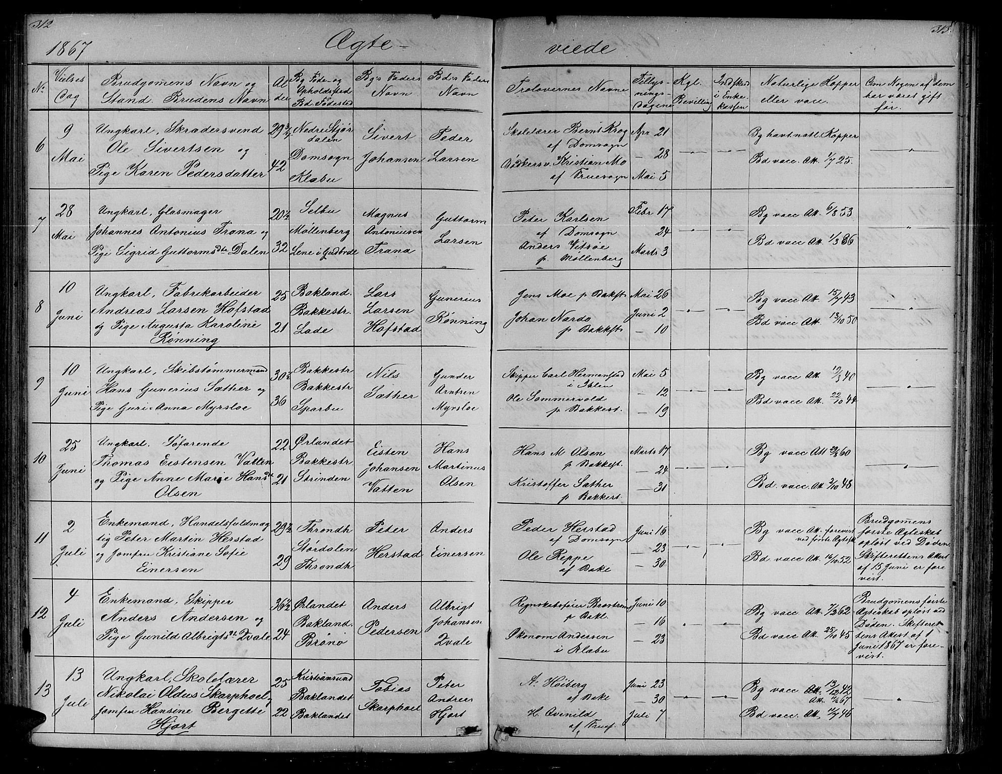 Ministerialprotokoller, klokkerbøker og fødselsregistre - Sør-Trøndelag, SAT/A-1456/604/L0219: Parish register (copy) no. 604C02, 1851-1869, p. 312-313