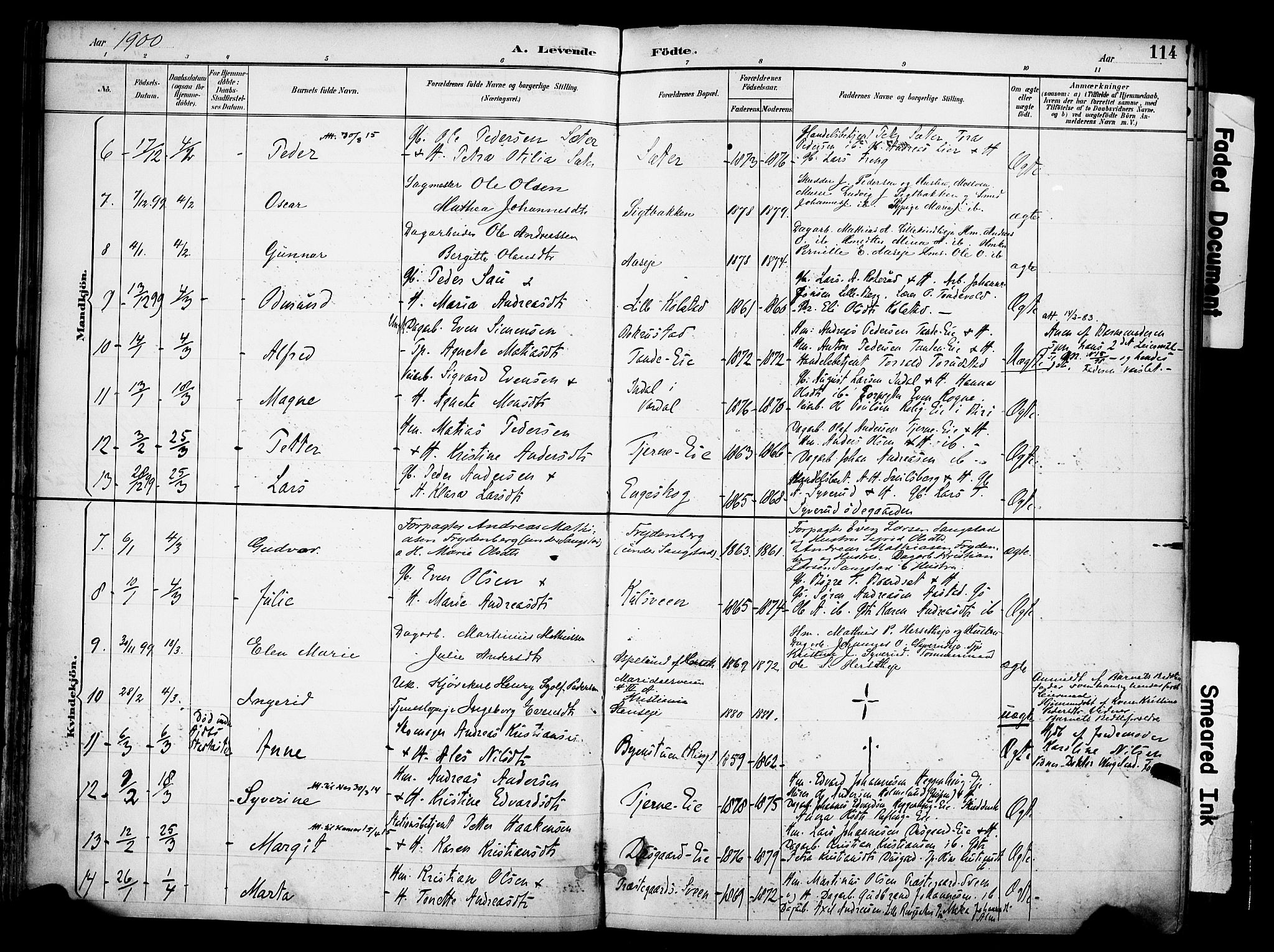 Ringsaker prestekontor, AV/SAH-PREST-014/K/Ka/L0017: Parish register (official) no. 17, 1891-1902, p. 114