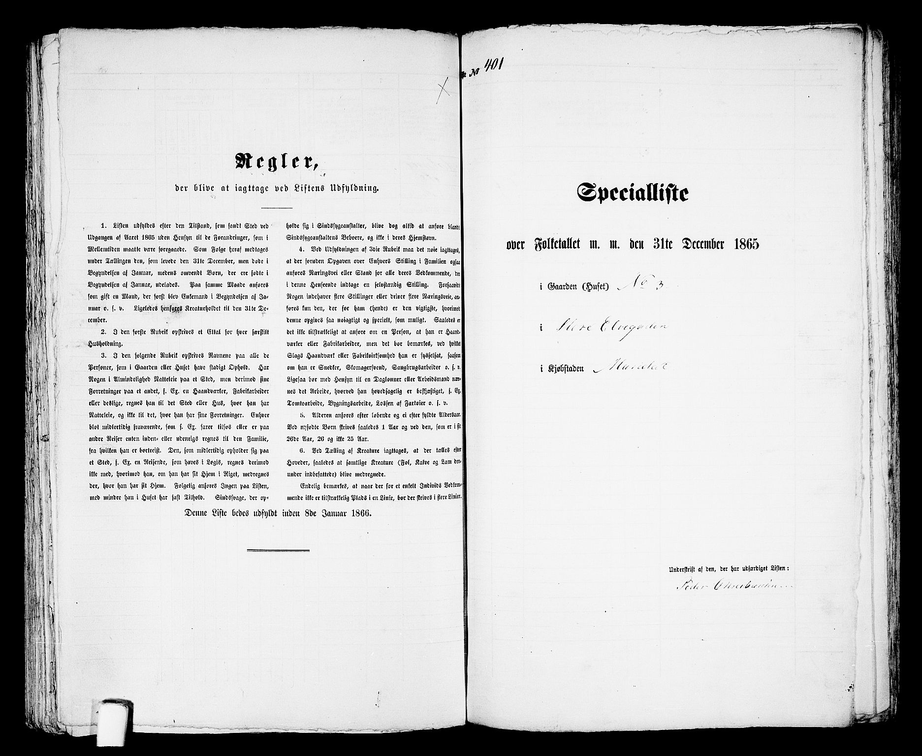 RA, 1865 census for Mandal/Mandal, 1865, p. 810