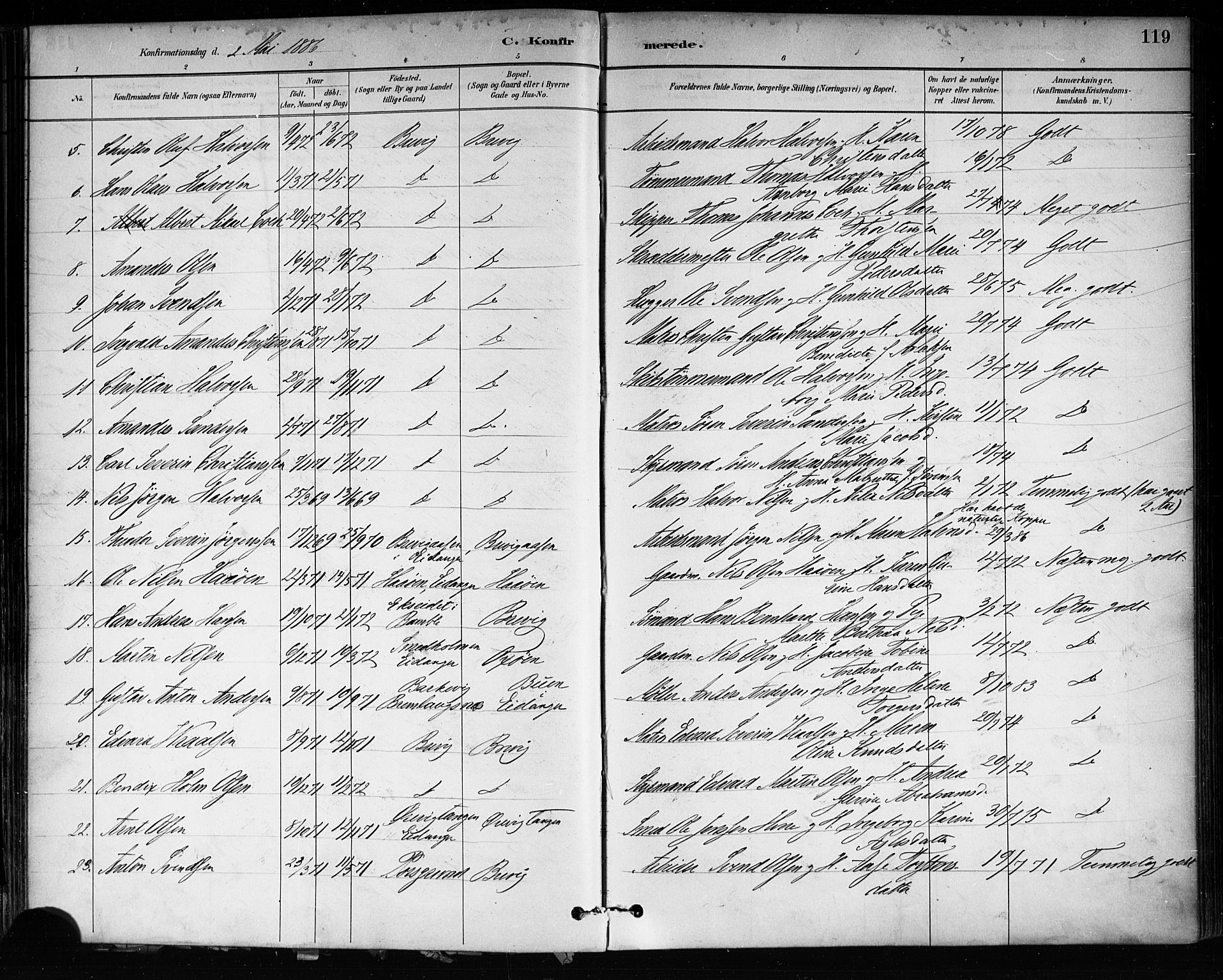 Brevik kirkebøker, AV/SAKO-A-255/F/Fa/L0007: Parish register (official) no. 7, 1882-1900, p. 119