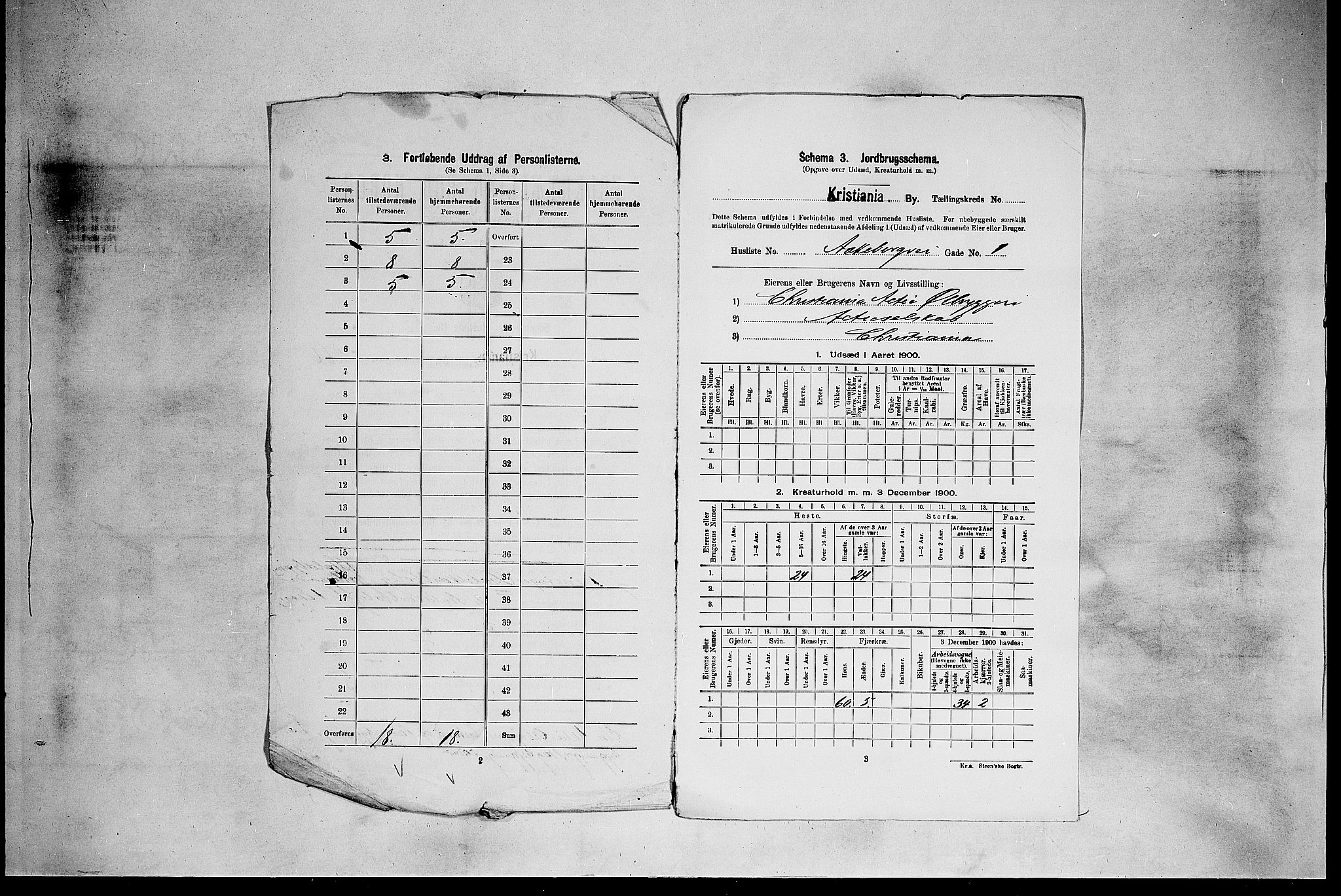 SAO, 1900 census for Kristiania, 1900, p. 4