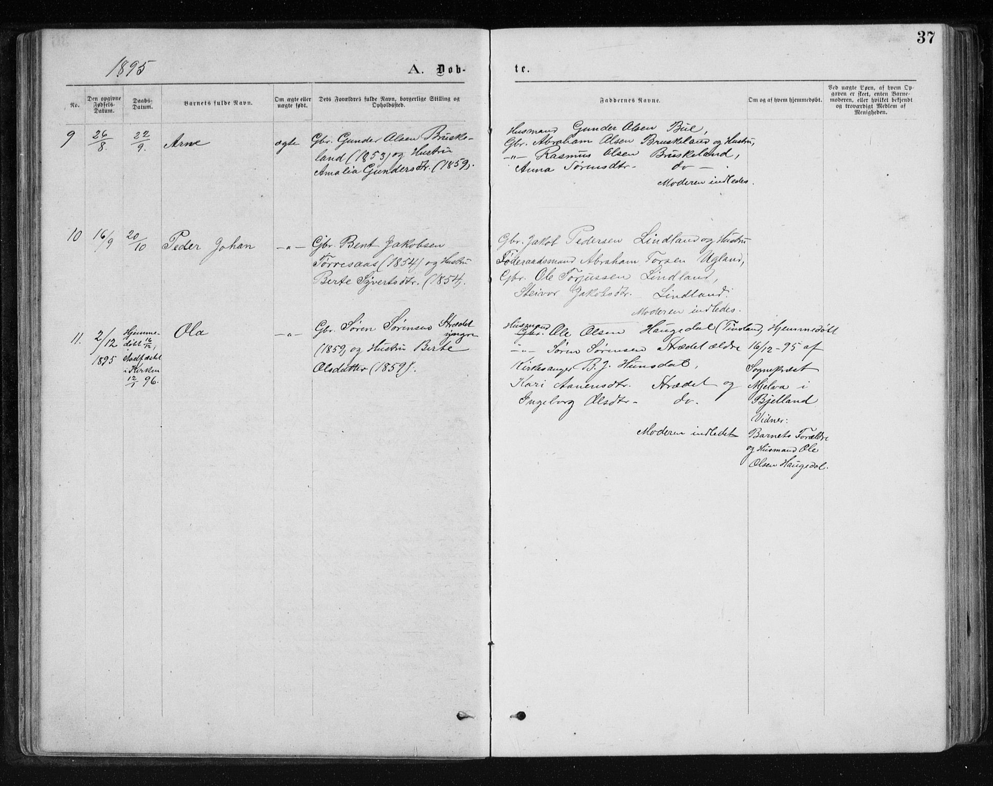 Holum sokneprestkontor, SAK/1111-0022/F/Fb/Fbb/L0003: Parish register (copy) no. B 3, 1875-1898, p. 37