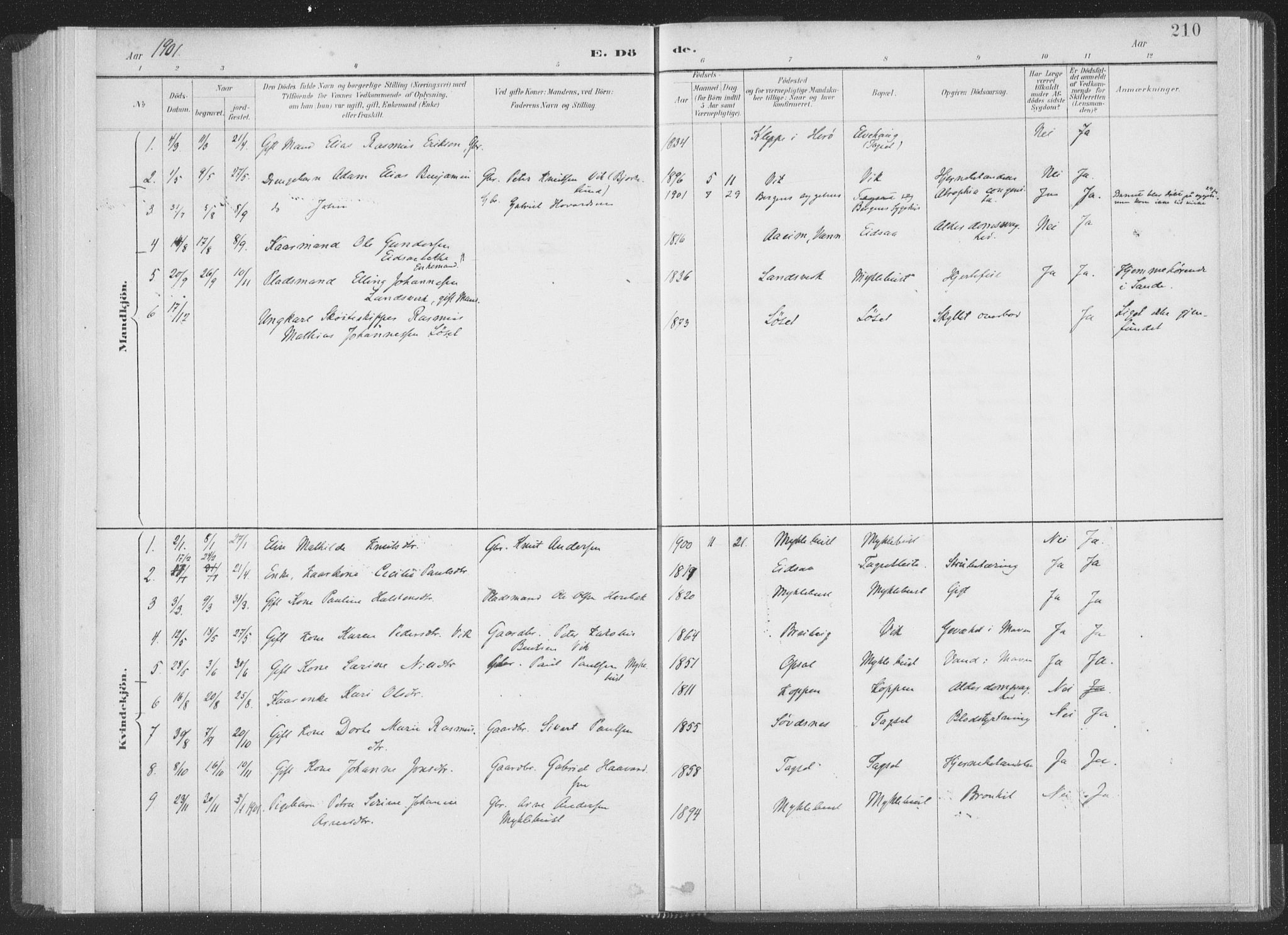 Ministerialprotokoller, klokkerbøker og fødselsregistre - Møre og Romsdal, AV/SAT-A-1454/502/L0025: Parish register (official) no. 502A03, 1885-1909, p. 210