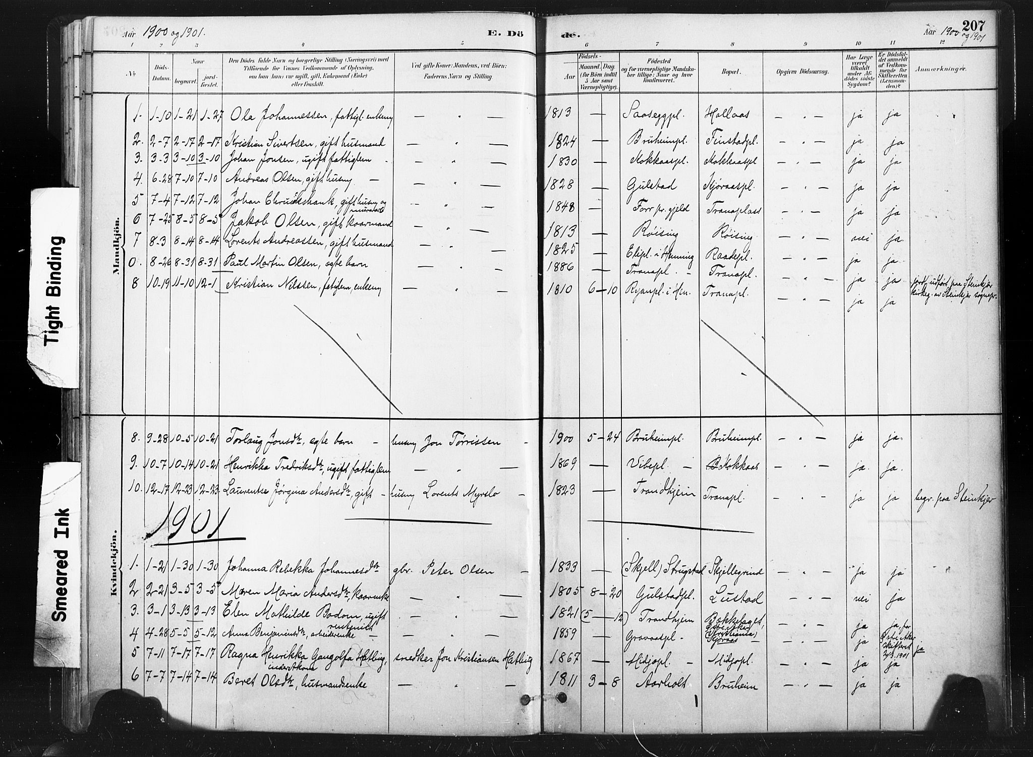 Ministerialprotokoller, klokkerbøker og fødselsregistre - Nord-Trøndelag, SAT/A-1458/736/L0361: Parish register (official) no. 736A01, 1884-1906, p. 207