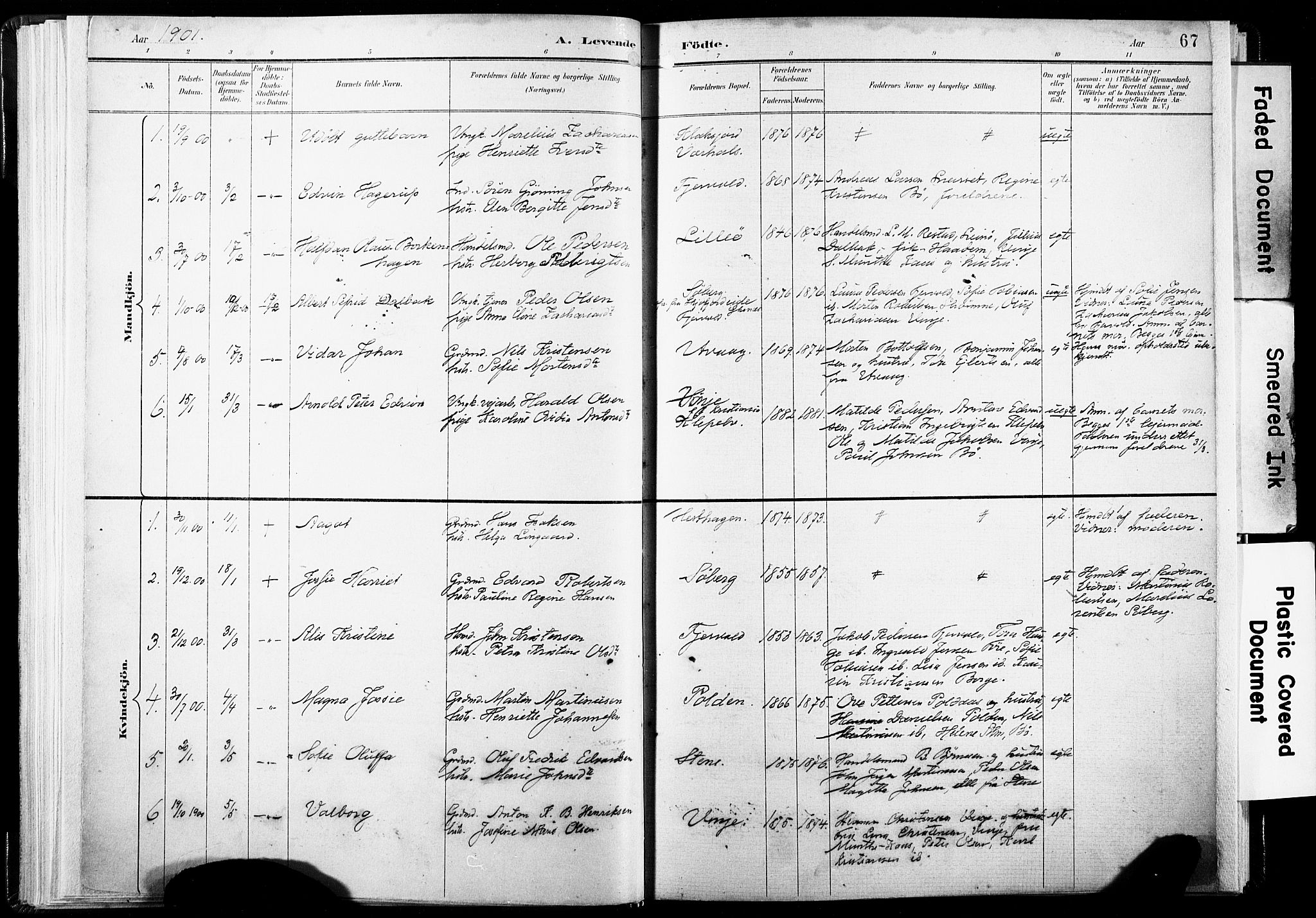 Ministerialprotokoller, klokkerbøker og fødselsregistre - Nordland, AV/SAT-A-1459/891/L1304: Parish register (official) no. 891A09, 1895-1921, p. 67