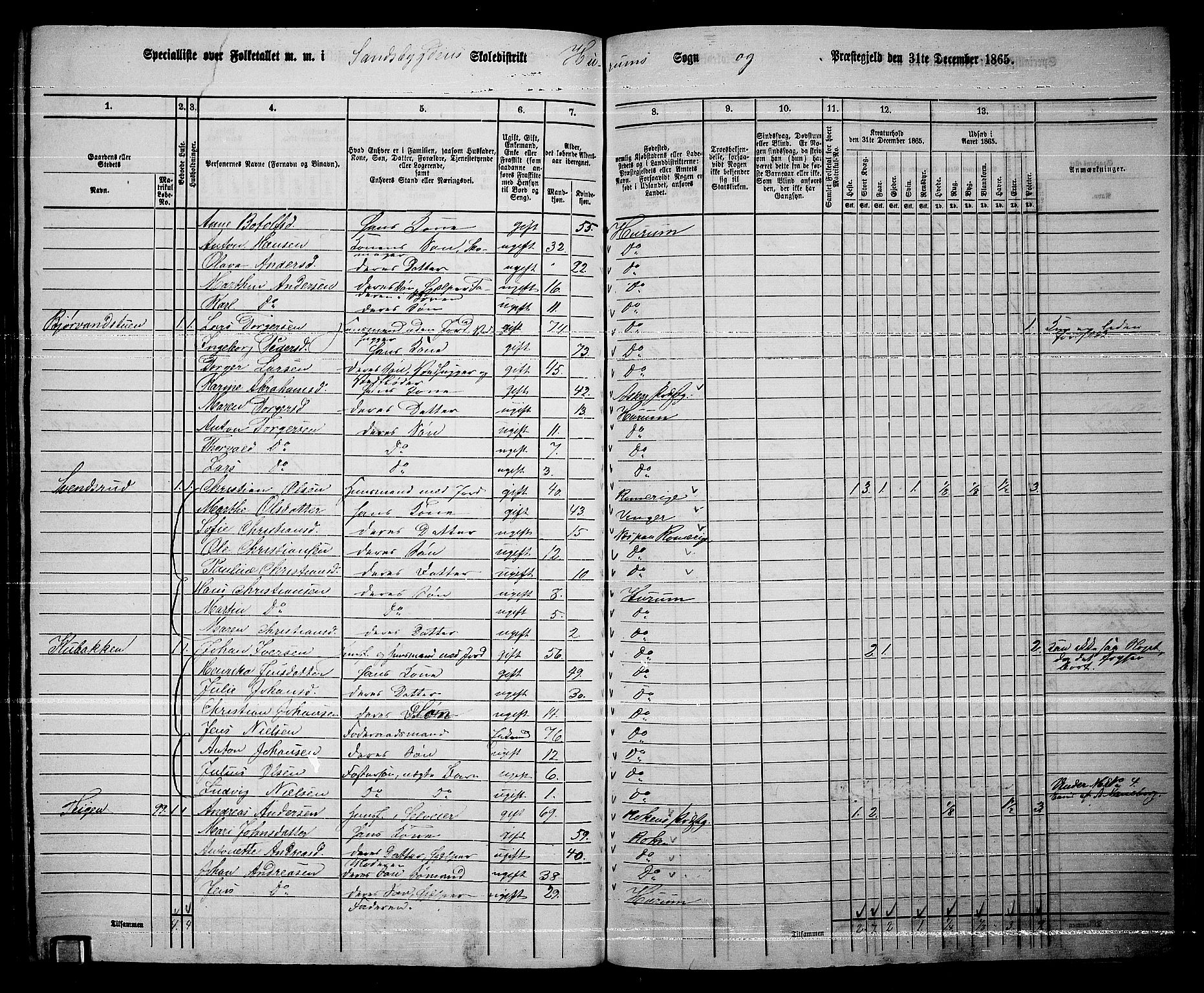 RA, 1865 census for Hurum, 1865, p. 96