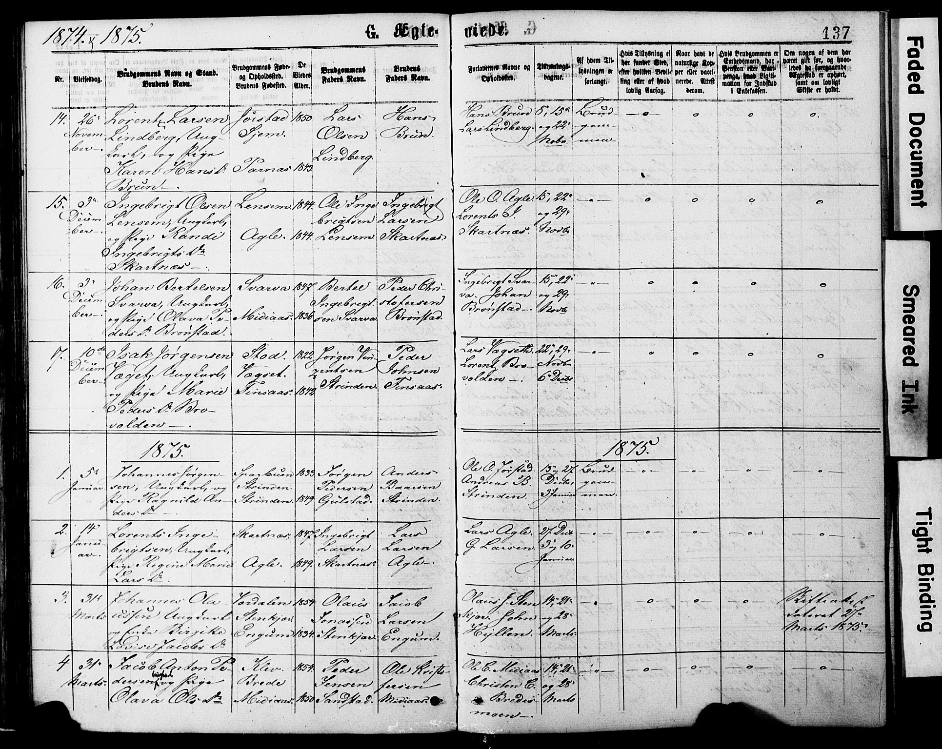 Ministerialprotokoller, klokkerbøker og fødselsregistre - Nord-Trøndelag, AV/SAT-A-1458/749/L0473: Parish register (official) no. 749A07, 1873-1887, p. 137
