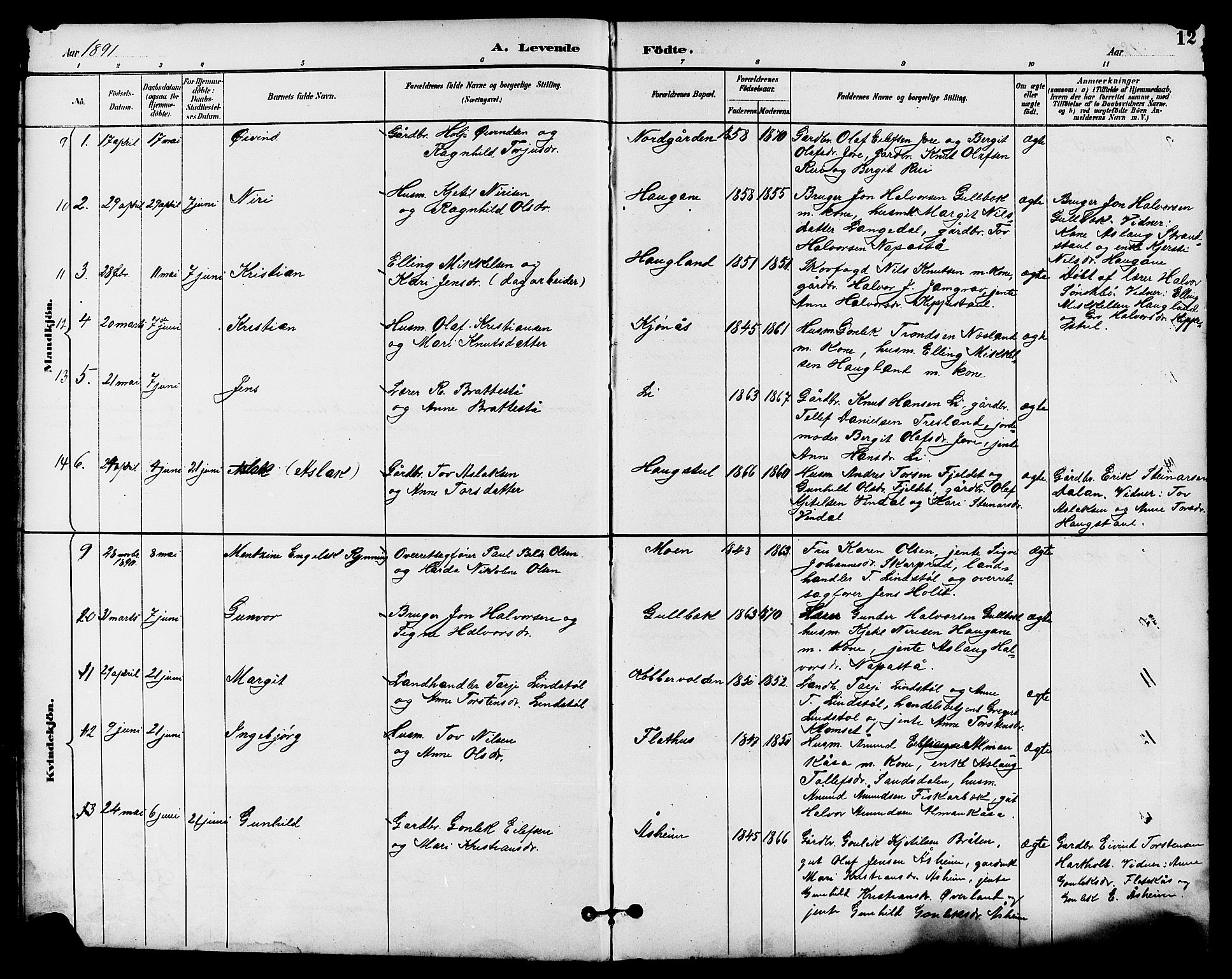 Seljord kirkebøker, SAKO/A-20/G/Ga/L0005: Parish register (copy) no. I 5, 1887-1914, p. 12