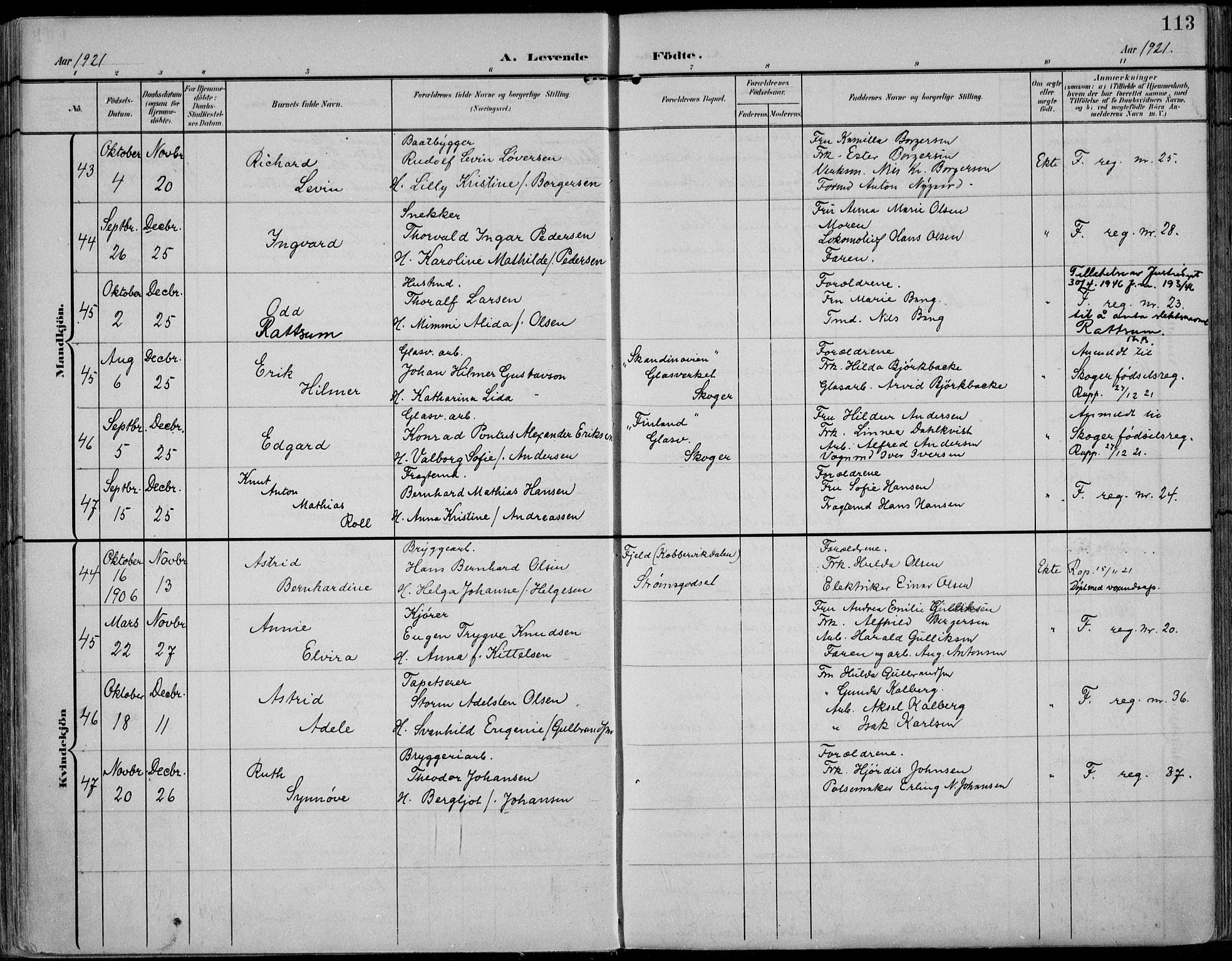 Strømsø kirkebøker, AV/SAKO-A-246/F/Fb/L0008: Parish register (official) no. II 8, 1902-1933, p. 113