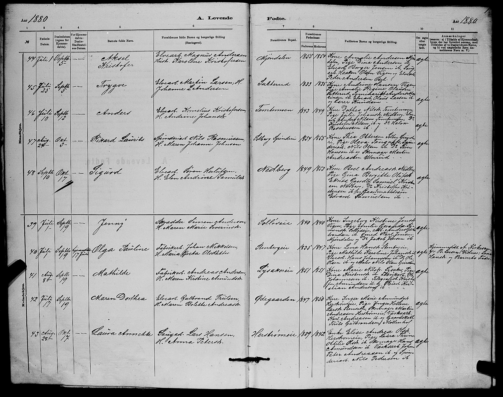 Nedre Eiker kirkebøker, AV/SAKO-A-612/G/Ga/L0002: Parish register (copy) no. 2, 1880-1896, p. 1