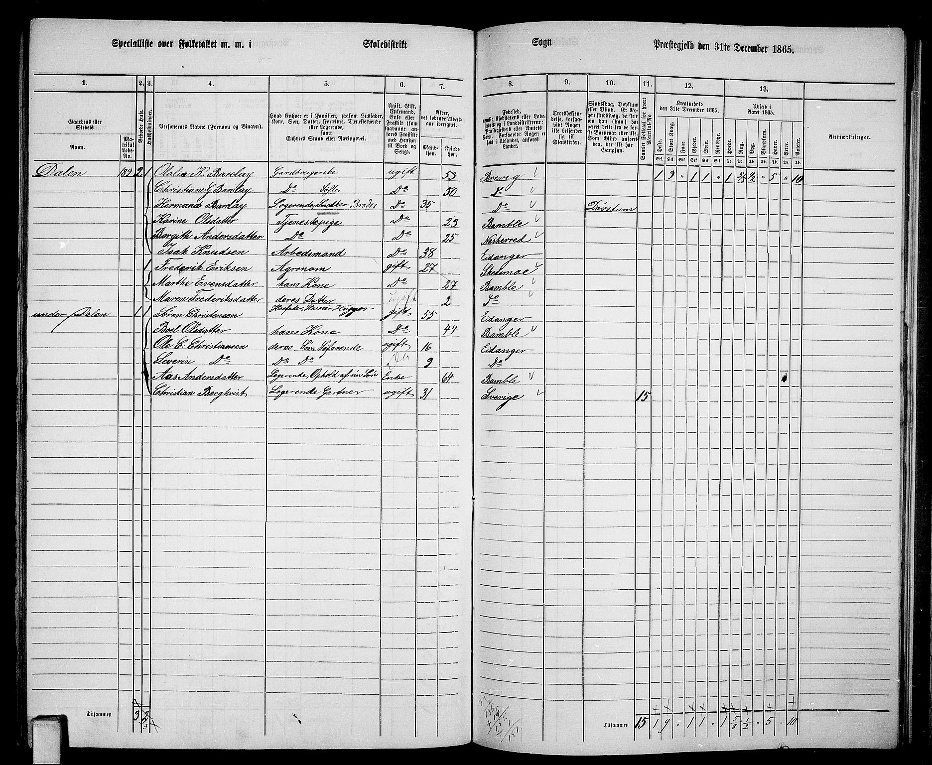 RA, 1865 census for Eidanger, 1865, p. 96