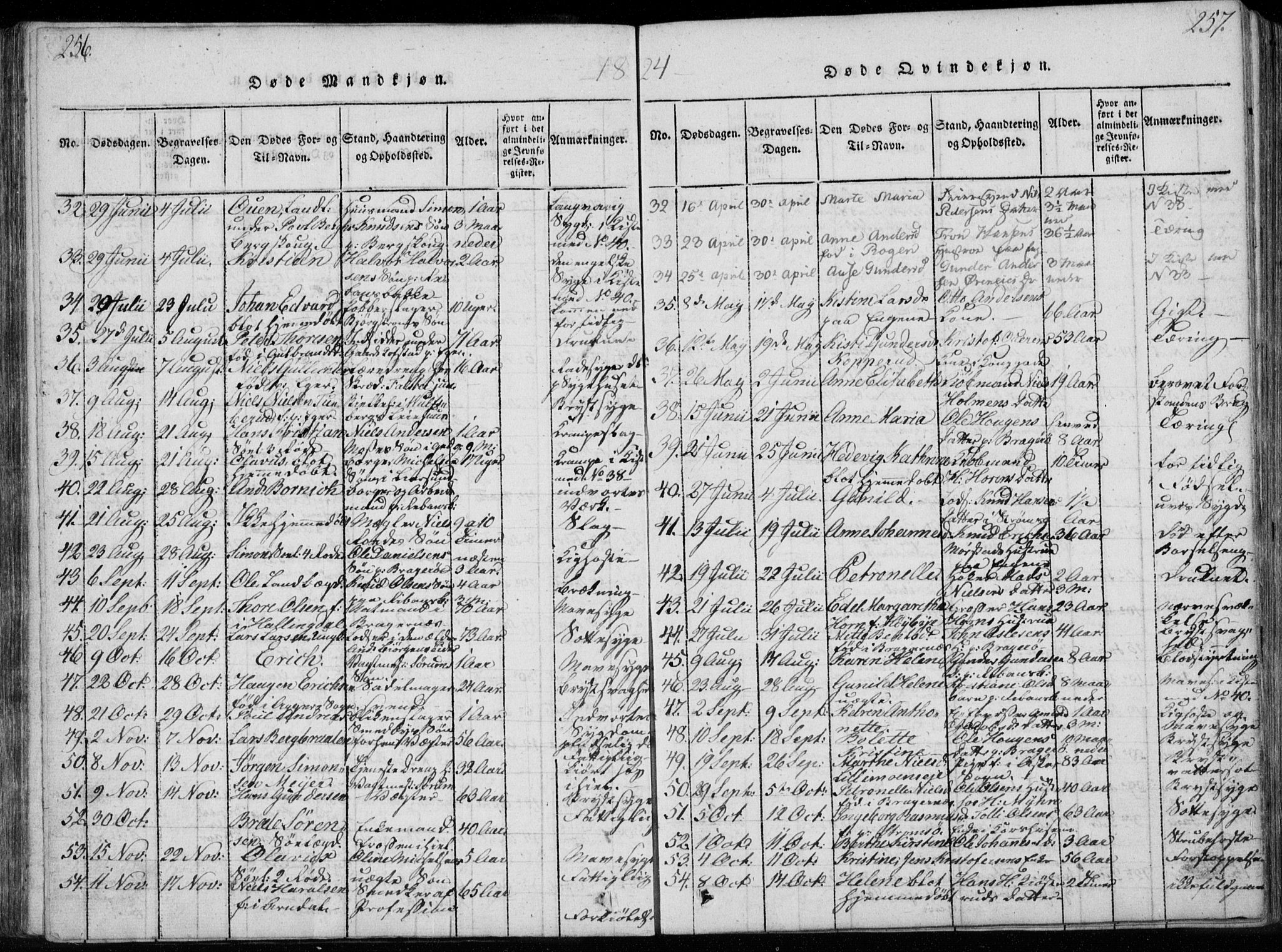 Bragernes kirkebøker, AV/SAKO-A-6/F/Fa/L0007: Parish register (official) no. I 7, 1815-1829, p. 256-257