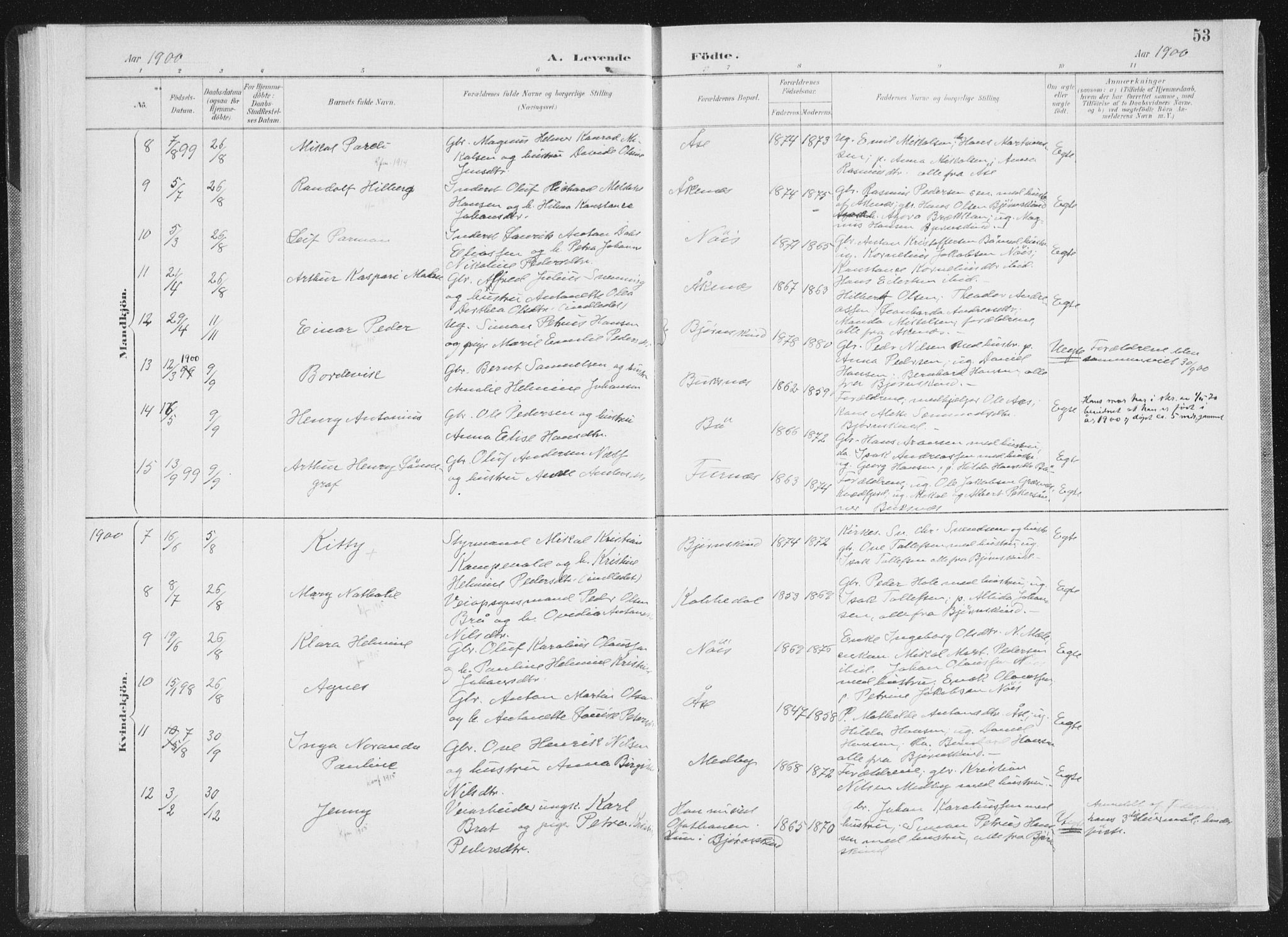 Ministerialprotokoller, klokkerbøker og fødselsregistre - Nordland, AV/SAT-A-1459/898/L1422: Parish register (official) no. 898A02, 1887-1908, p. 53