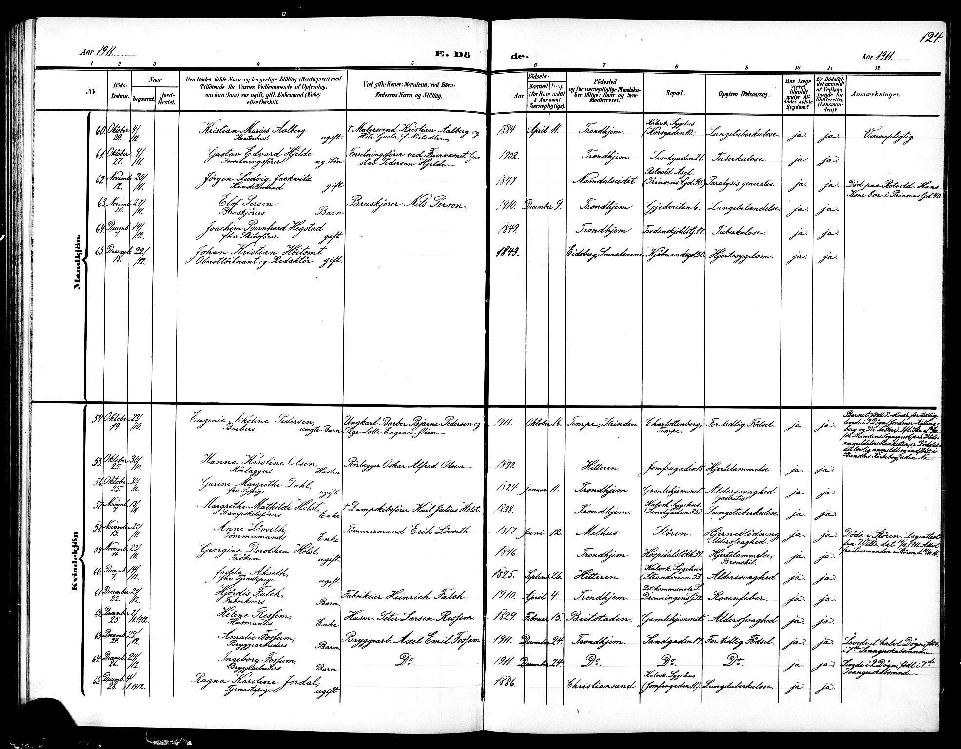 Ministerialprotokoller, klokkerbøker og fødselsregistre - Sør-Trøndelag, SAT/A-1456/602/L0146: Parish register (copy) no. 602C14, 1904-1914, p. 124