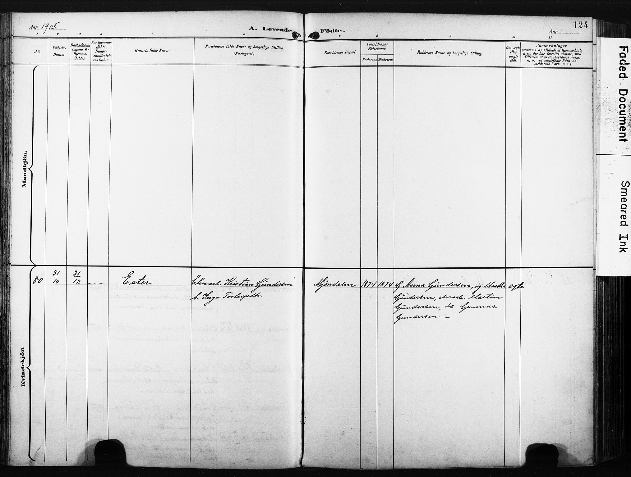 Nedre Eiker kirkebøker, AV/SAKO-A-612/F/Fa/L0005: Parish register (official) no. 5, 1898-1905, p. 124