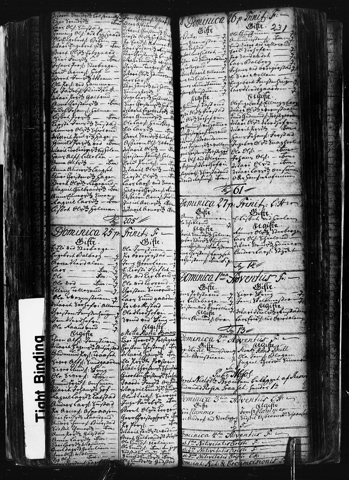 Fåberg prestekontor, AV/SAH-PREST-086/H/Ha/Hab/L0001: Parish register (copy) no. 1, 1727-1767, p. 230-231