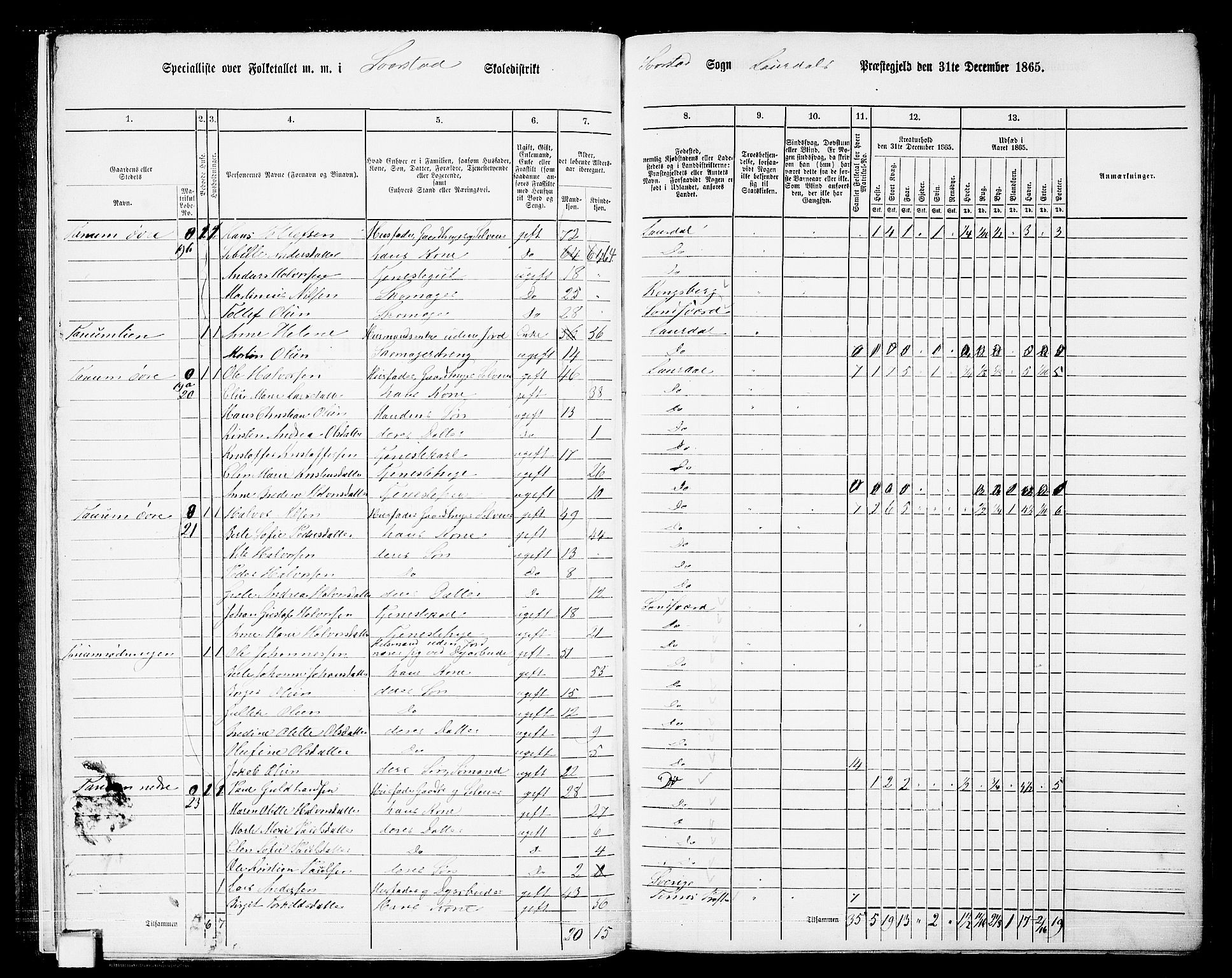 RA, 1865 census for Lardal, 1865, p. 11
