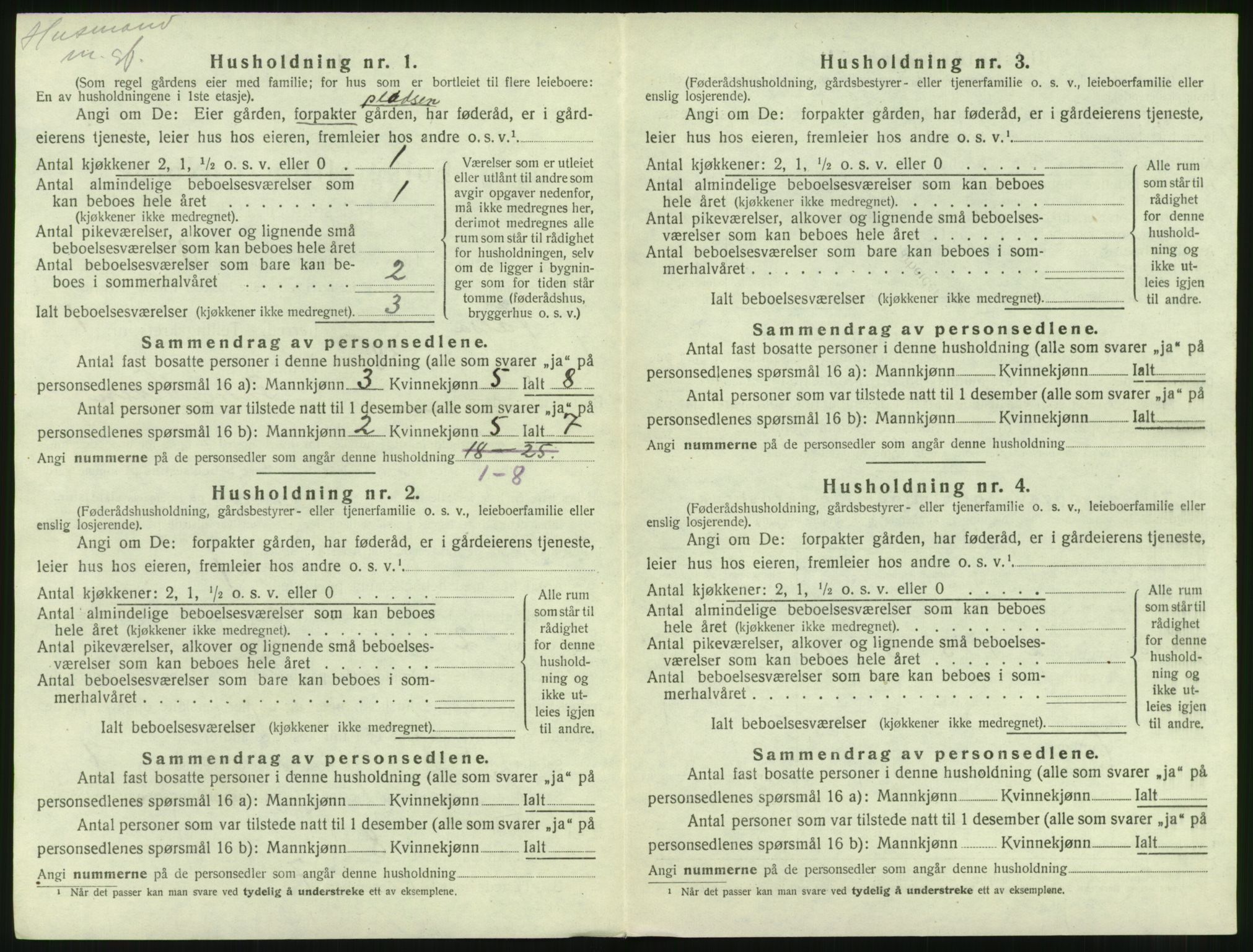 SAT, 1920 census for Halsa, 1920, p. 37