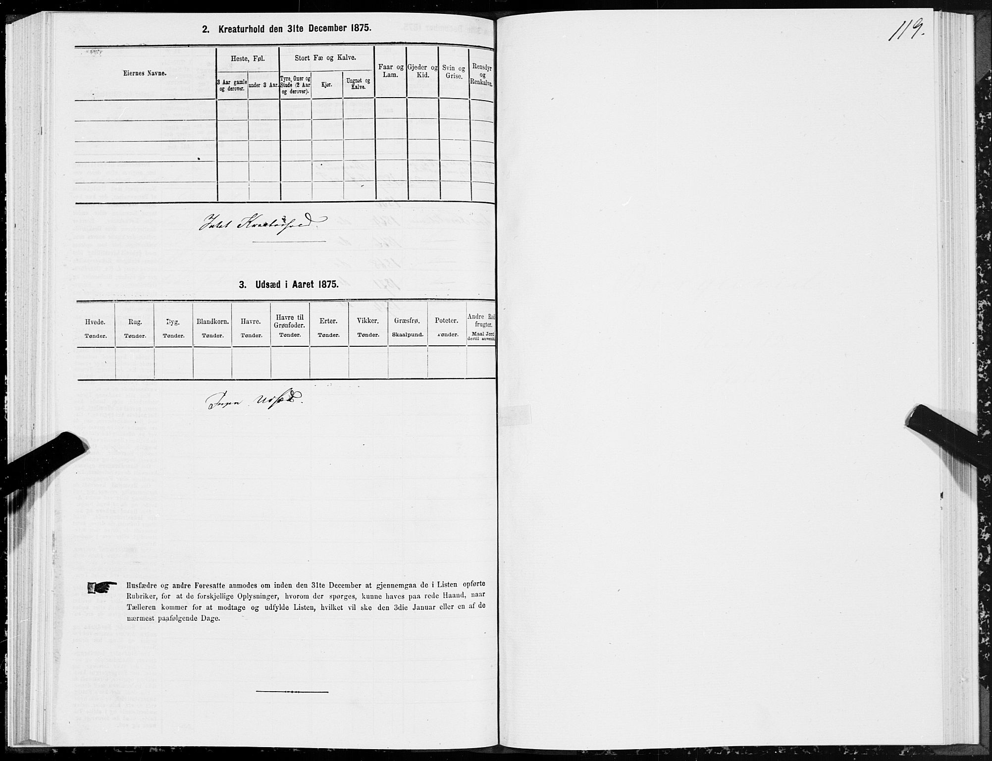 SAT, 1875 census for 1531P Borgund, 1875, p. 6119