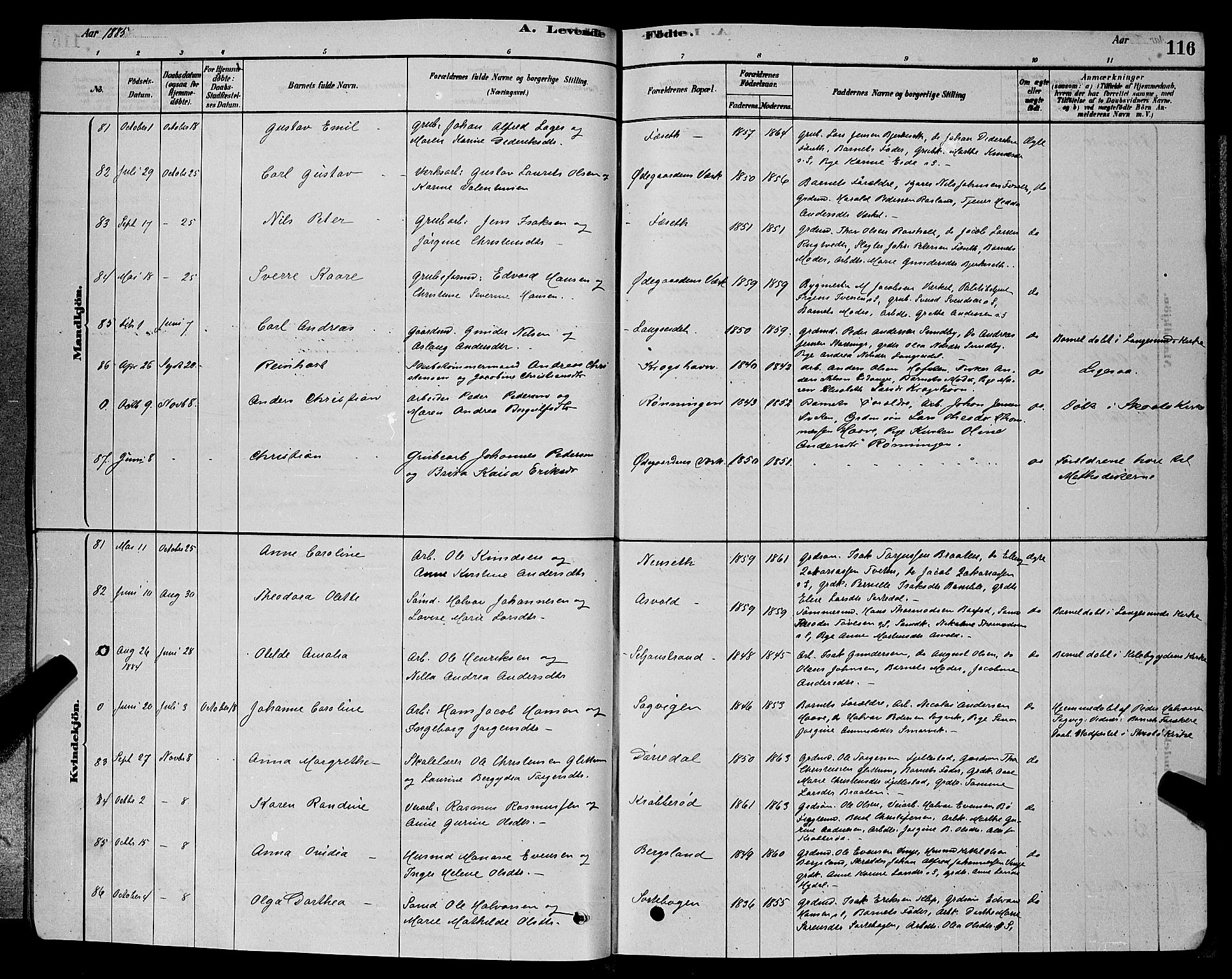 Bamble kirkebøker, AV/SAKO-A-253/G/Ga/L0008: Parish register (copy) no. I 8, 1878-1888, p. 116