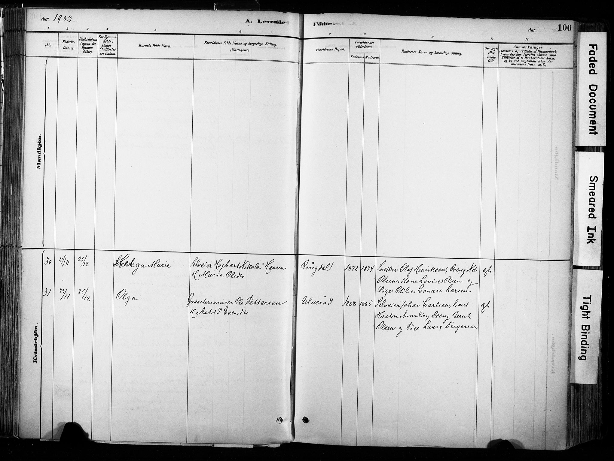 Hedrum kirkebøker, AV/SAKO-A-344/F/Fa/L0009: Parish register (official) no. I 9, 1881-1903, p. 106