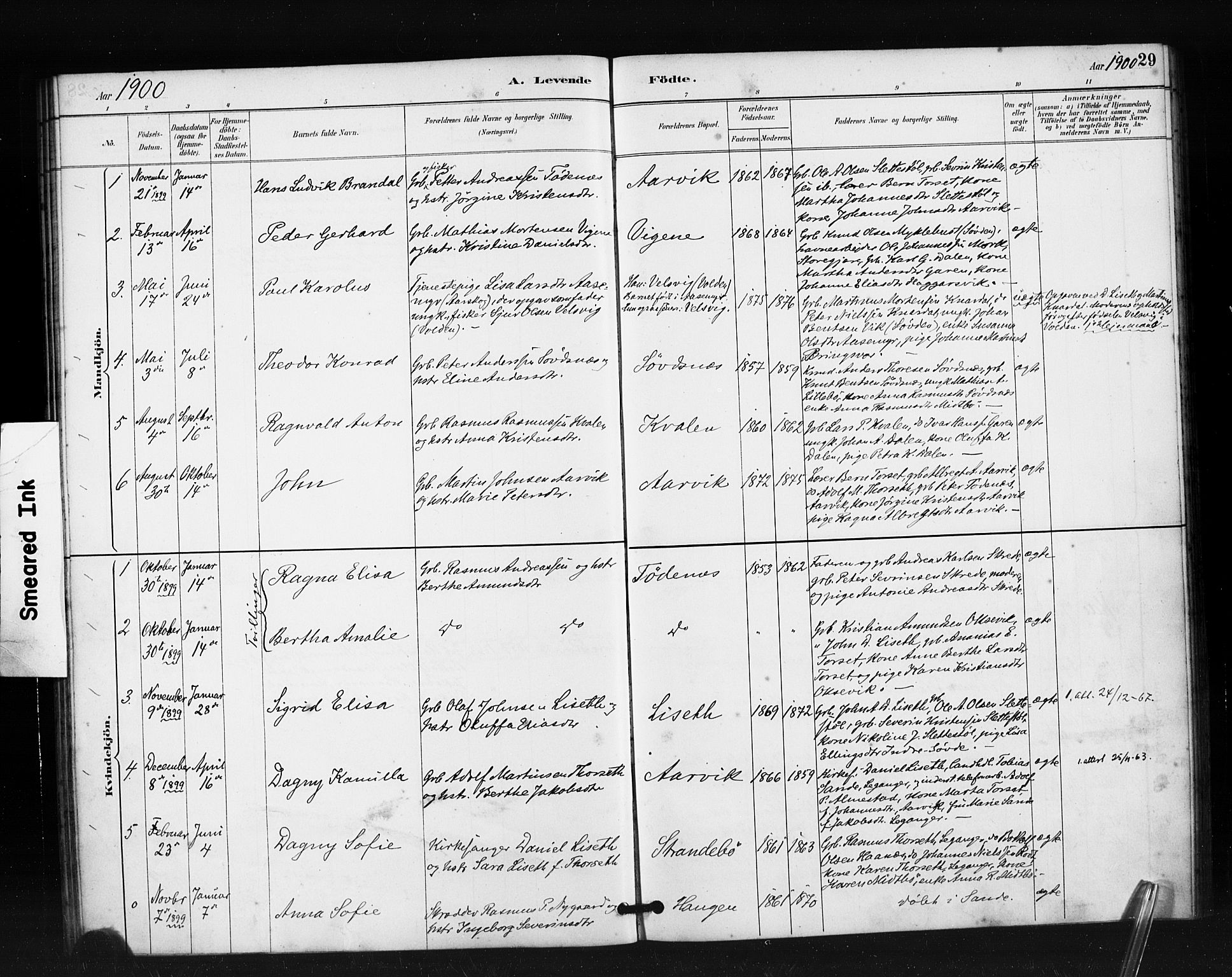 Ministerialprotokoller, klokkerbøker og fødselsregistre - Møre og Romsdal, AV/SAT-A-1454/504/L0056: Parish register (official) no. 504A03, 1884-1904, p. 29