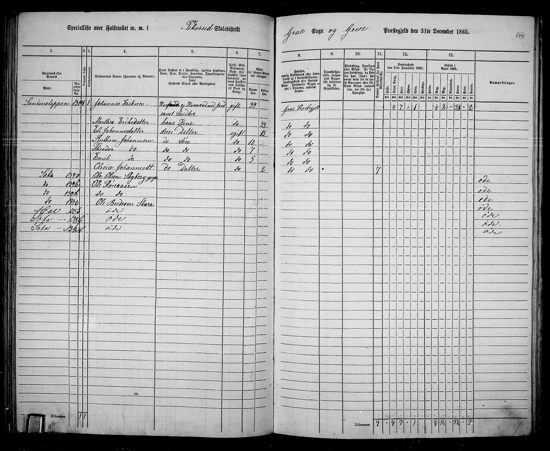 RA, 1865 census for Grue, 1865, p. 153