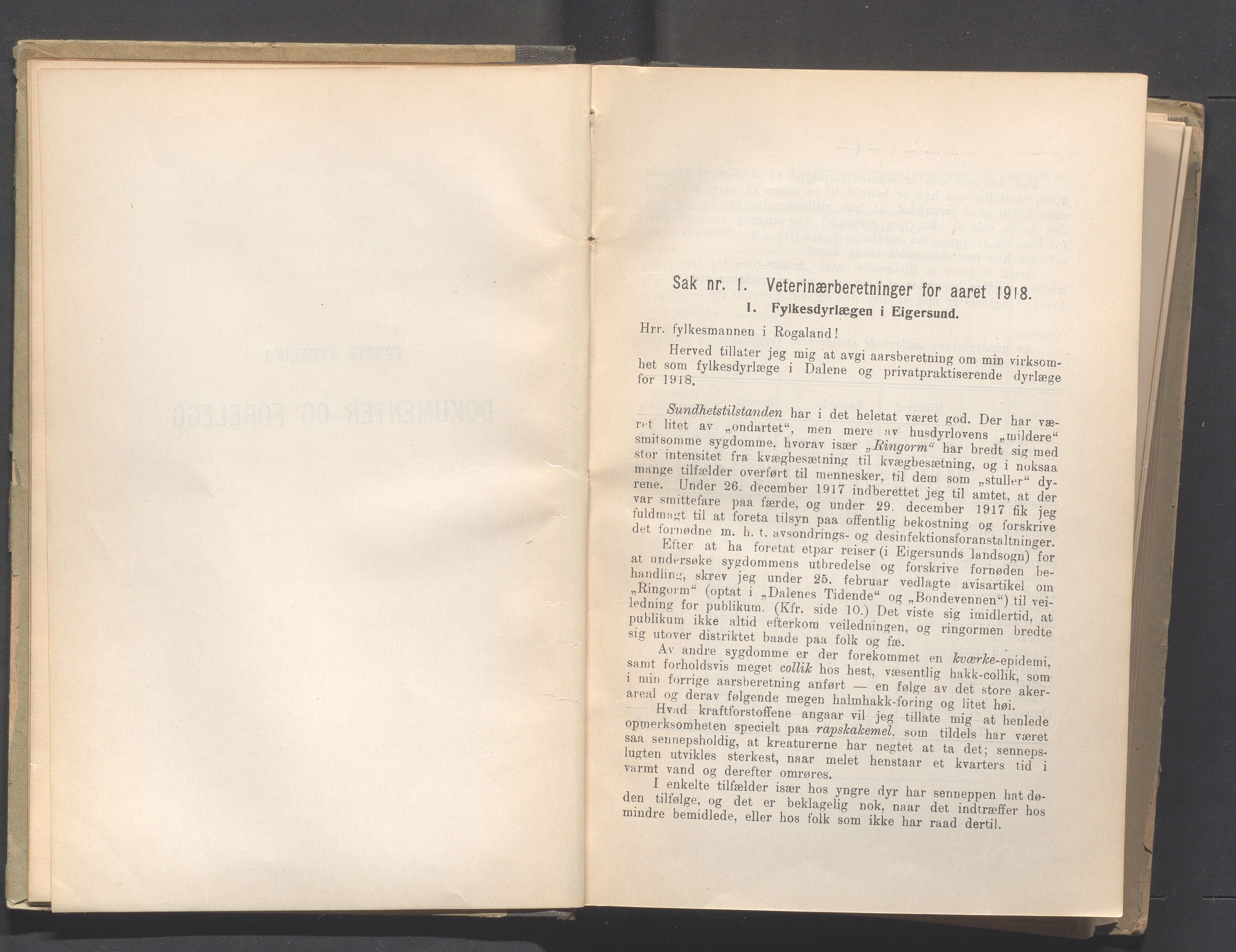 Rogaland fylkeskommune - Fylkesrådmannen , IKAR/A-900/A, 1920, p. 11