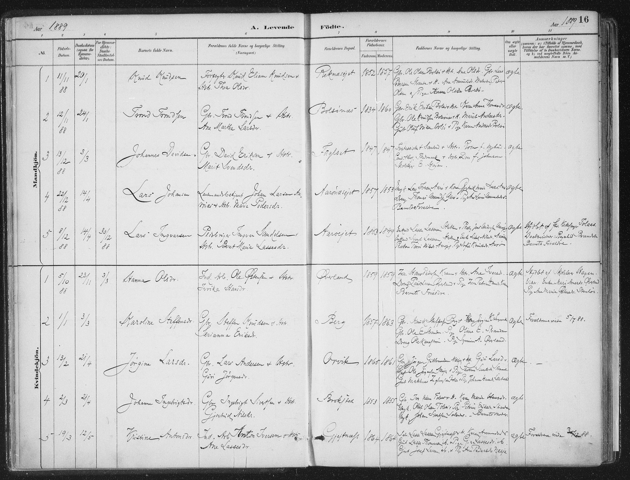 Ministerialprotokoller, klokkerbøker og fødselsregistre - Møre og Romsdal, AV/SAT-A-1454/555/L0658: Parish register (official) no. 555A09, 1887-1917, p. 16