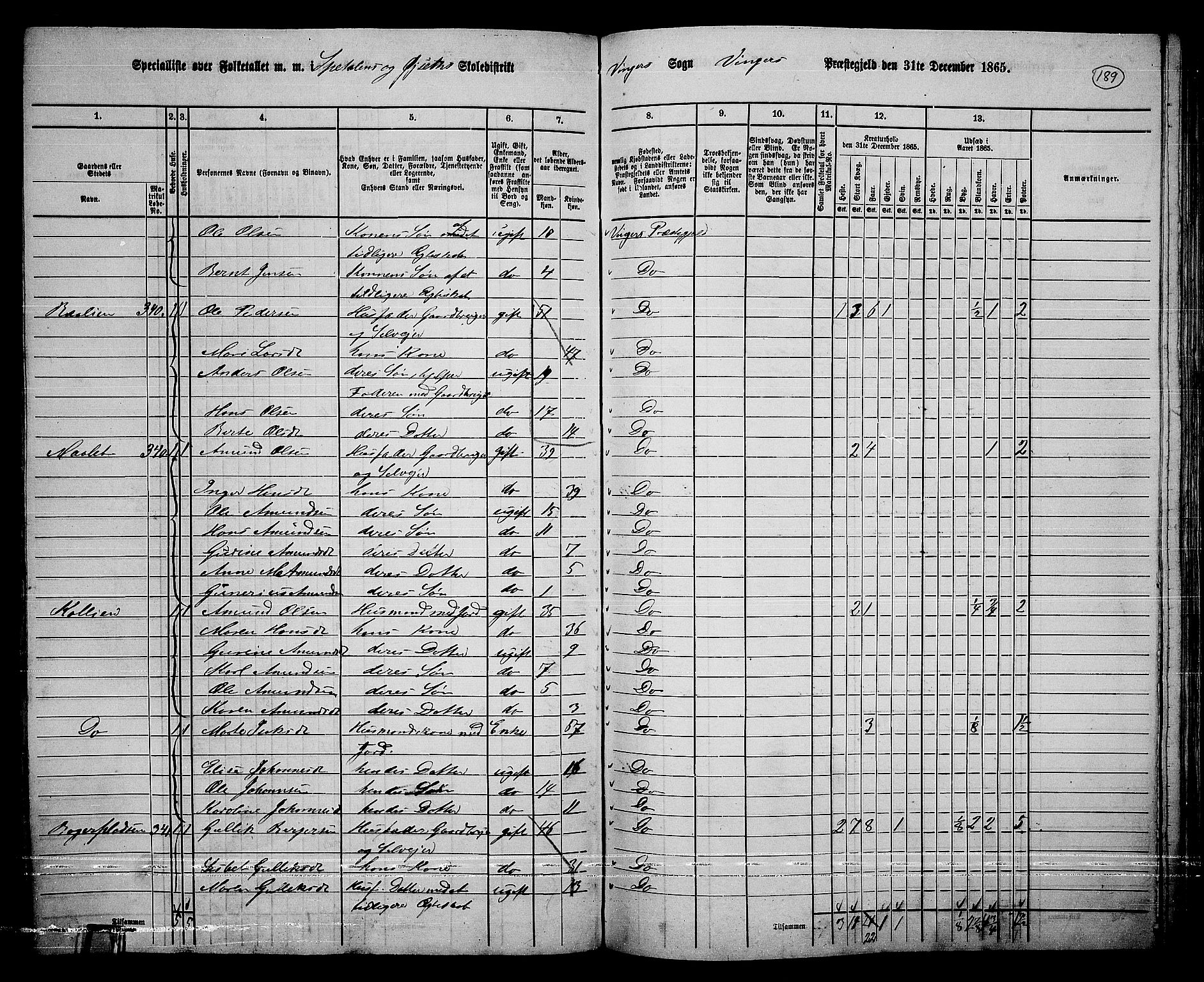 RA, 1865 census for Vinger/Vinger og Austmarka, 1865, p. 174