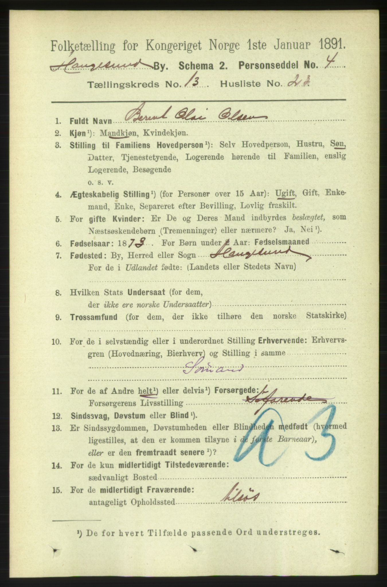 RA, 1891 census for 1106 Haugesund, 1891, p. 4556