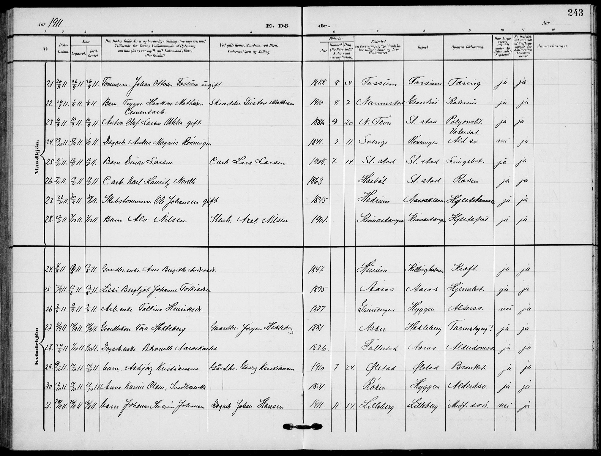 Røyken kirkebøker, AV/SAKO-A-241/G/Ga/L0005: Parish register (copy) no. 5, 1903-1918, p. 243