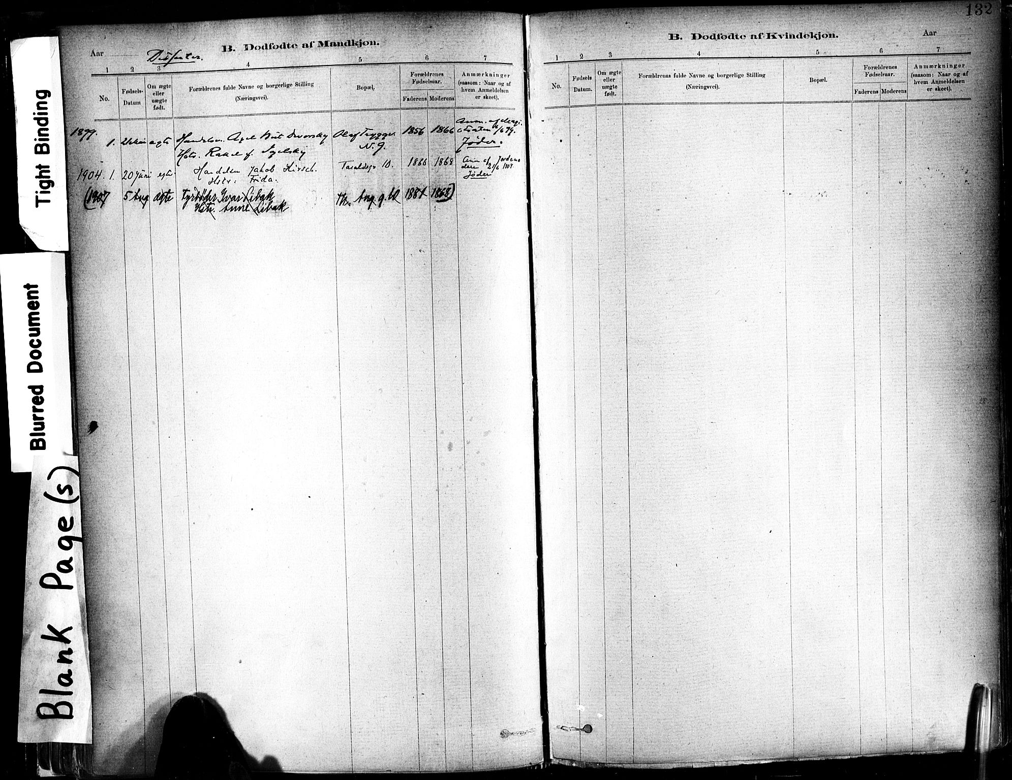 Ministerialprotokoller, klokkerbøker og fødselsregistre - Sør-Trøndelag, SAT/A-1456/602/L0119: Parish register (official) no. 602A17, 1880-1901, p. 132