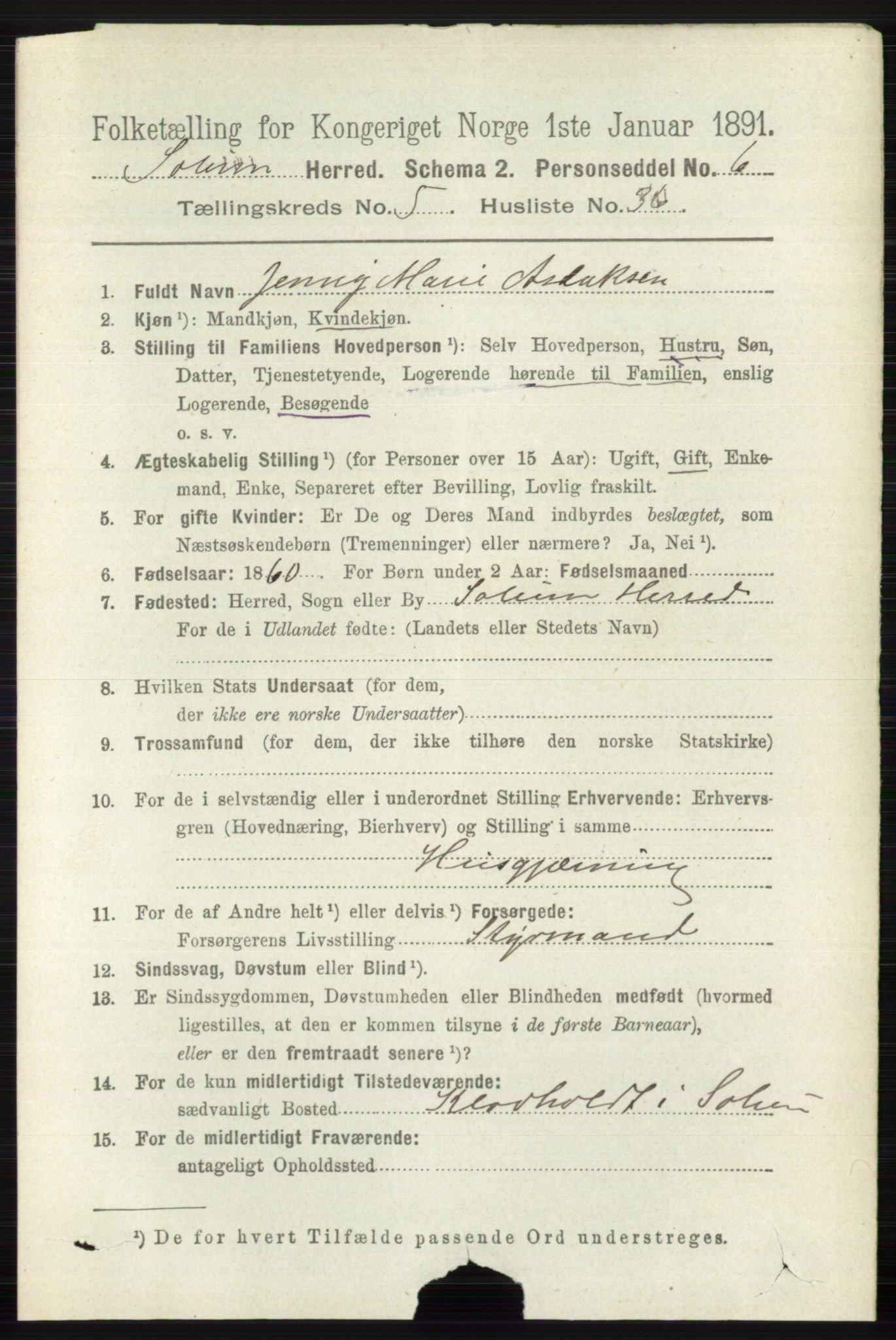 RA, 1891 census for 0818 Solum, 1891, p. 1060