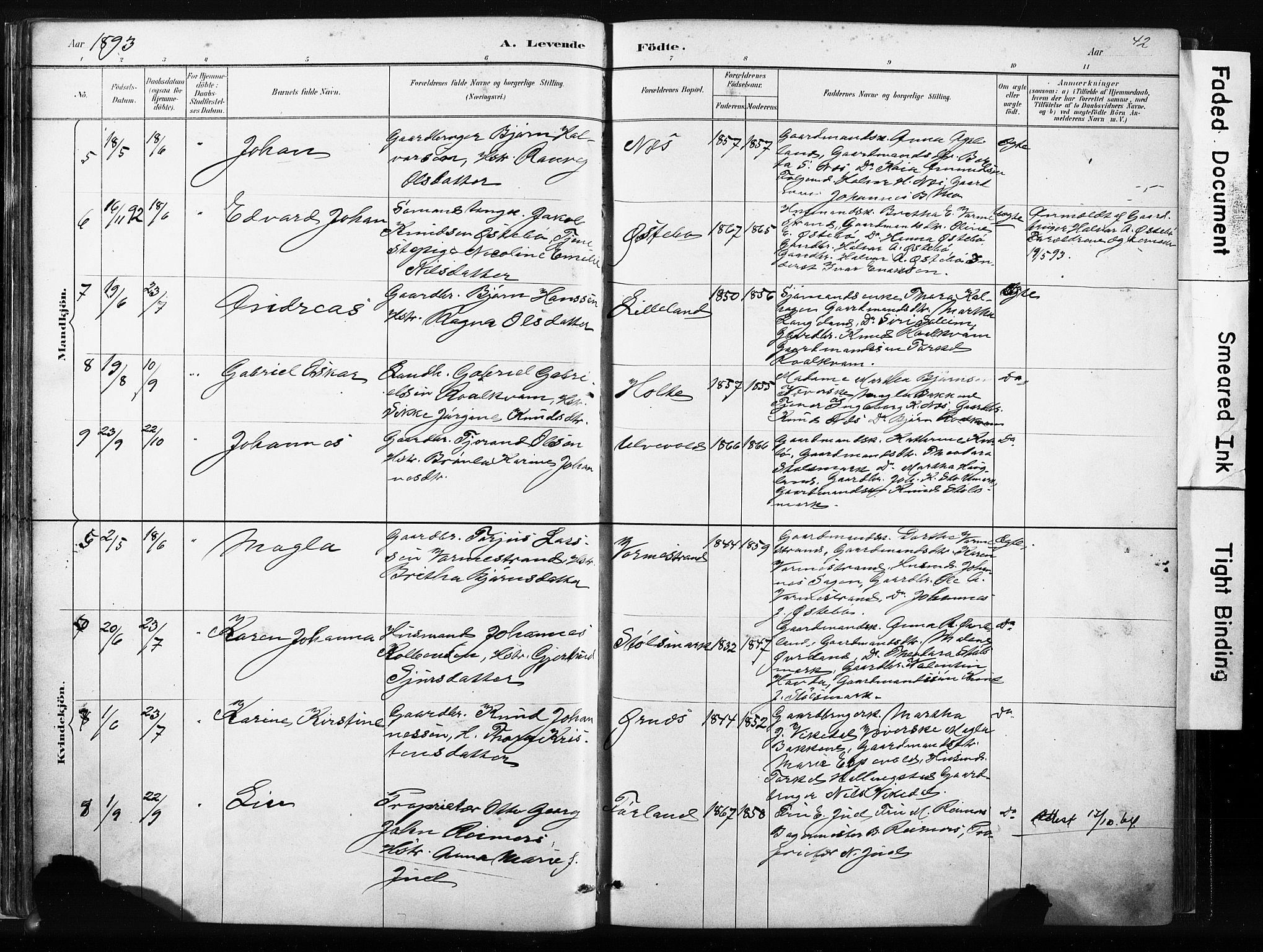 Vikedal sokneprestkontor, AV/SAST-A-101840/01/IV: Parish register (official) no. A 10, 1884-1907, p. 42