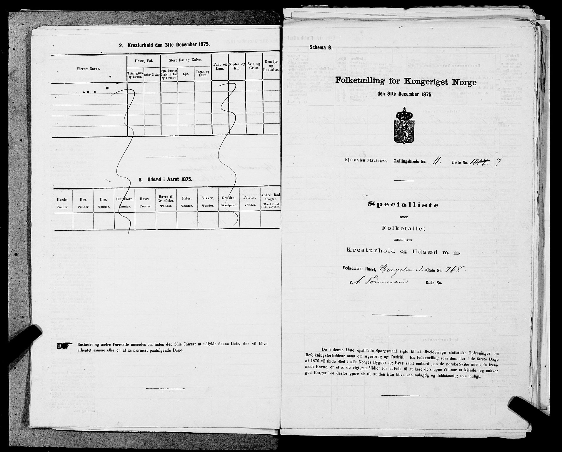 SAST, 1875 census for 1103 Stavanger, 1875, p. 2056