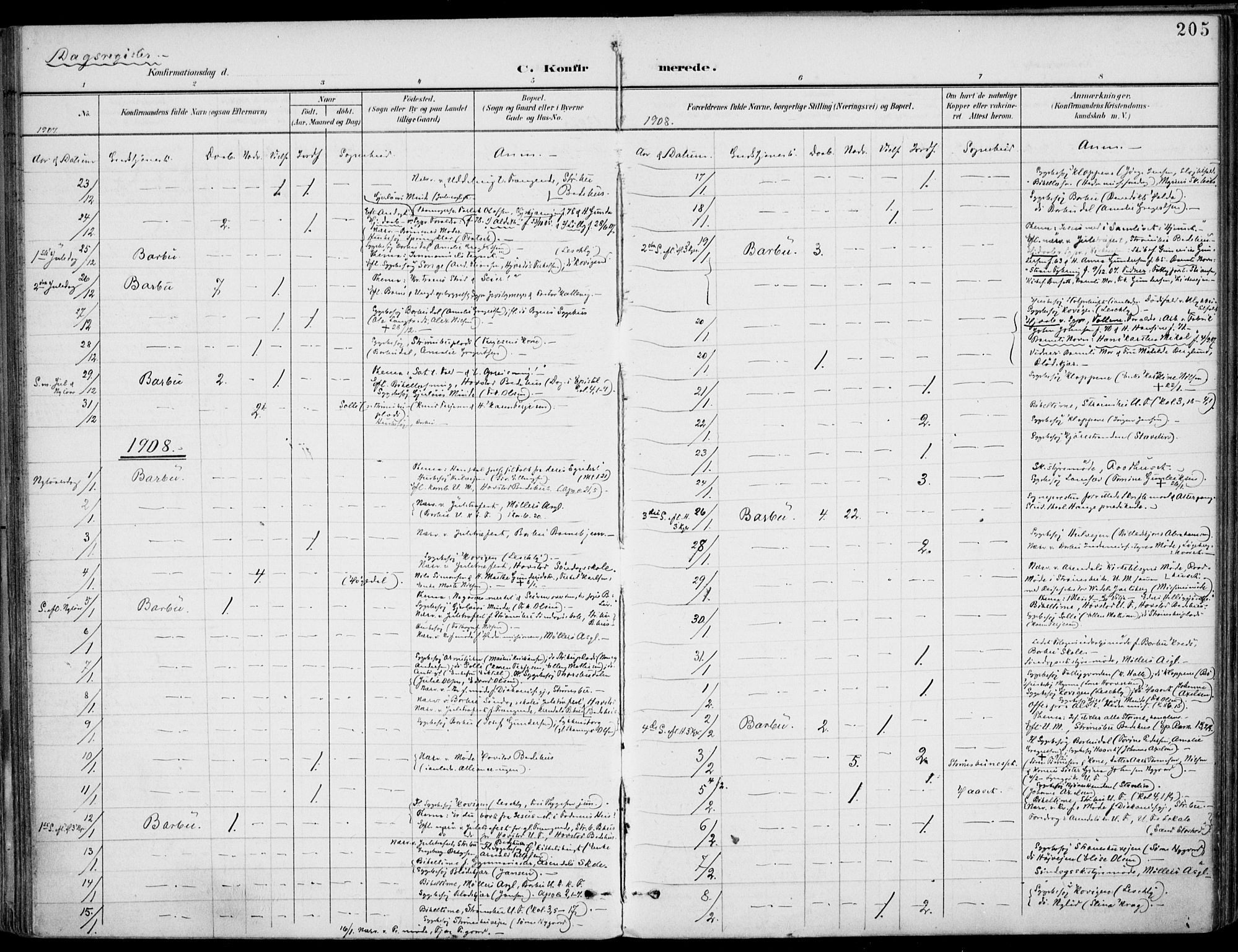 Barbu sokneprestkontor, AV/SAK-1111-0003/F/Fa/L0005: Parish register (official) no. A 5, 1899-1909, p. 205