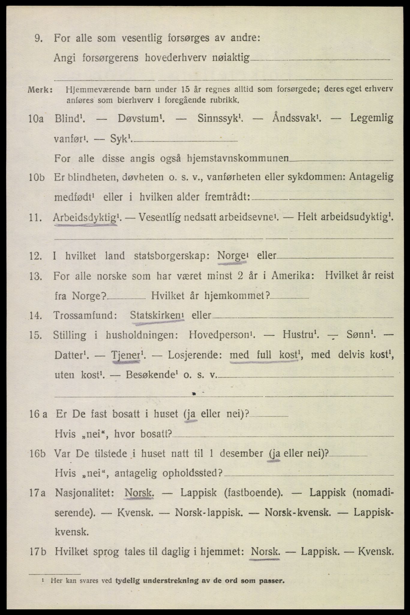 SAT, 1920 census for Bodin, 1920, p. 8417