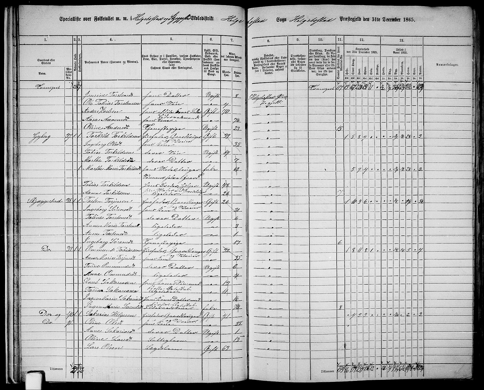 RA, 1865 census for Hægebostad, 1865, p. 25