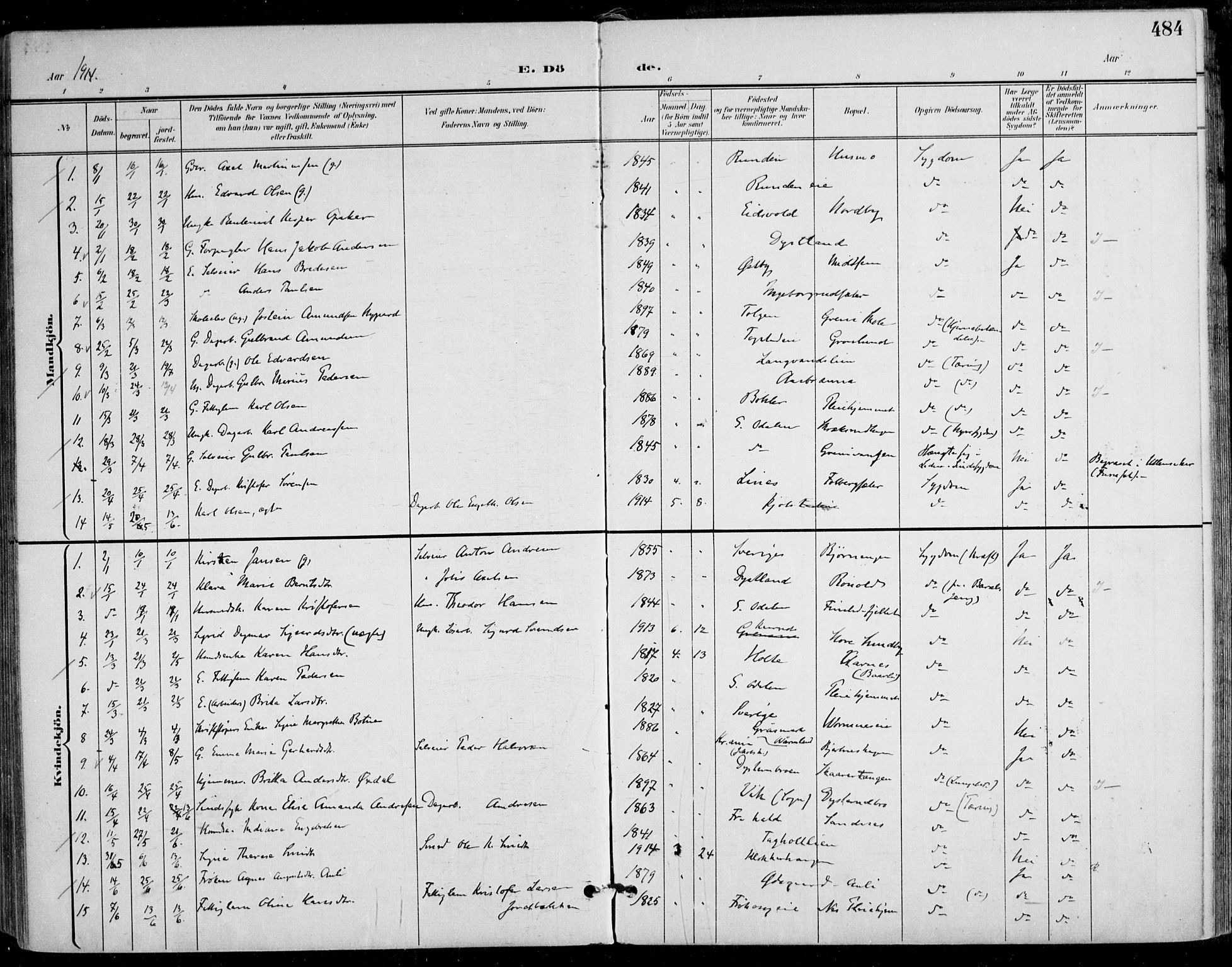 Nes prestekontor Kirkebøker, AV/SAO-A-10410/F/Fa/L0011: Parish register (official) no. I 11, 1899-1918, p. 484