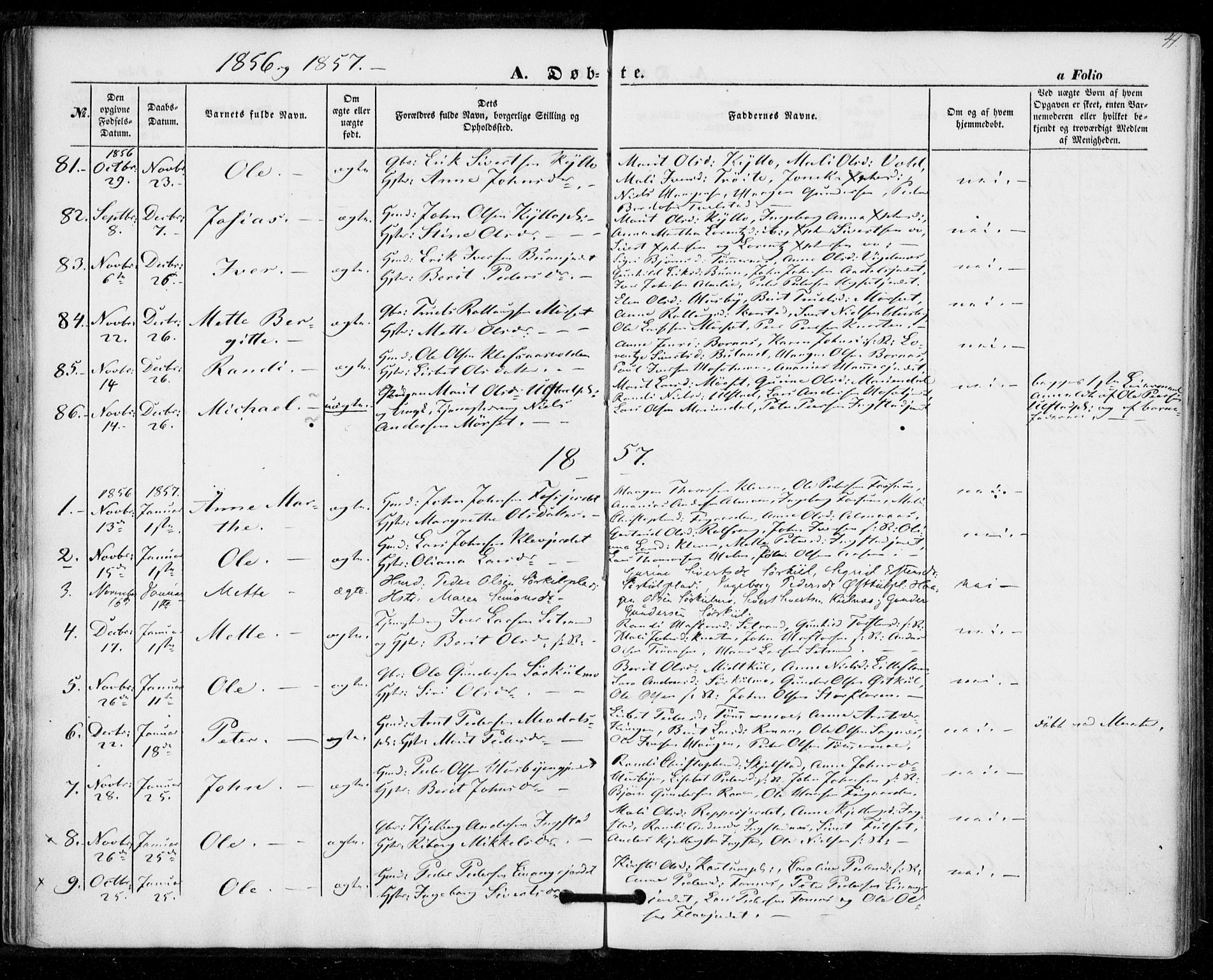 Ministerialprotokoller, klokkerbøker og fødselsregistre - Nord-Trøndelag, SAT/A-1458/703/L0028: Parish register (official) no. 703A01, 1850-1862, p. 41