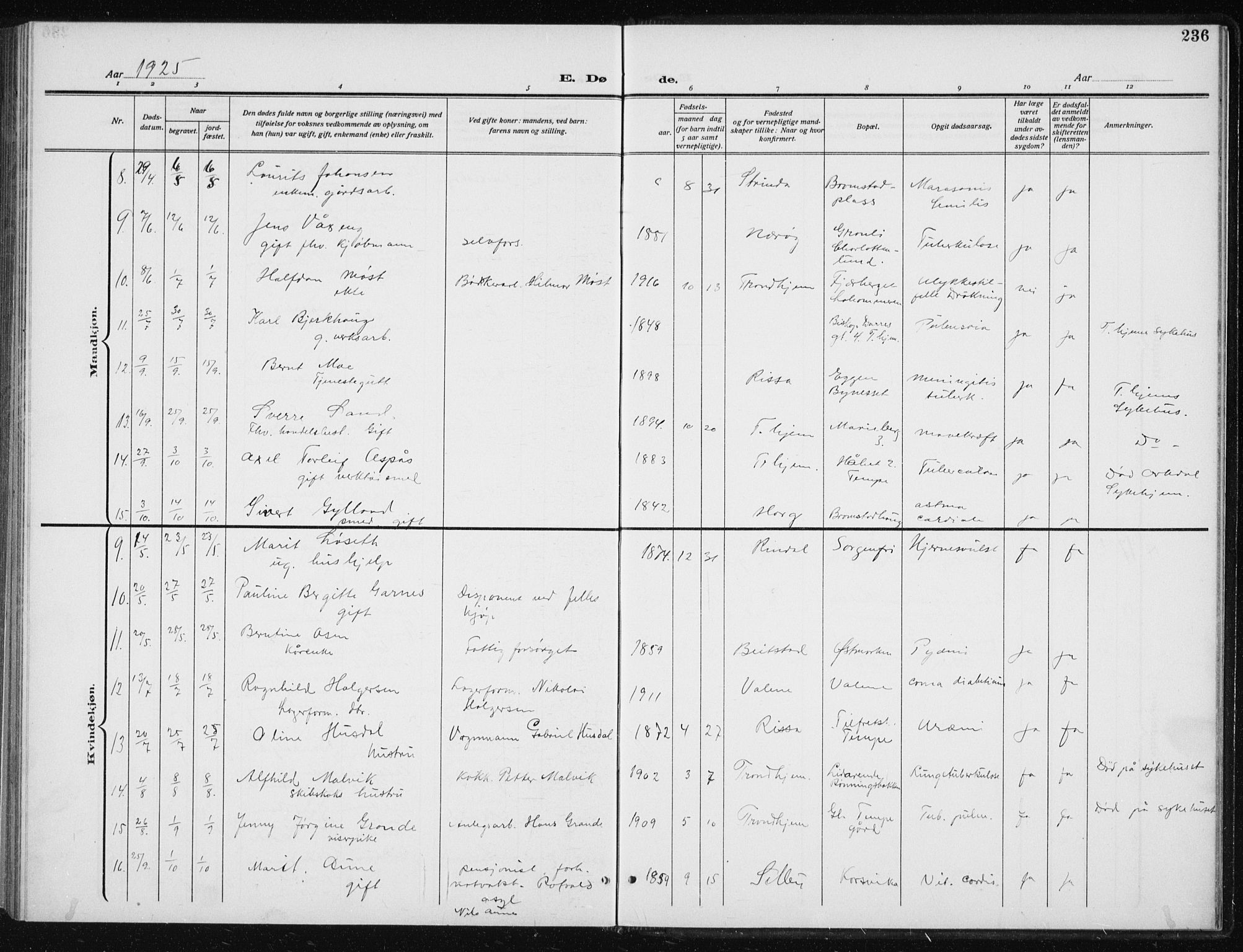 Ministerialprotokoller, klokkerbøker og fødselsregistre - Sør-Trøndelag, AV/SAT-A-1456/606/L0314: Parish register (copy) no. 606C10, 1911-1937, p. 236