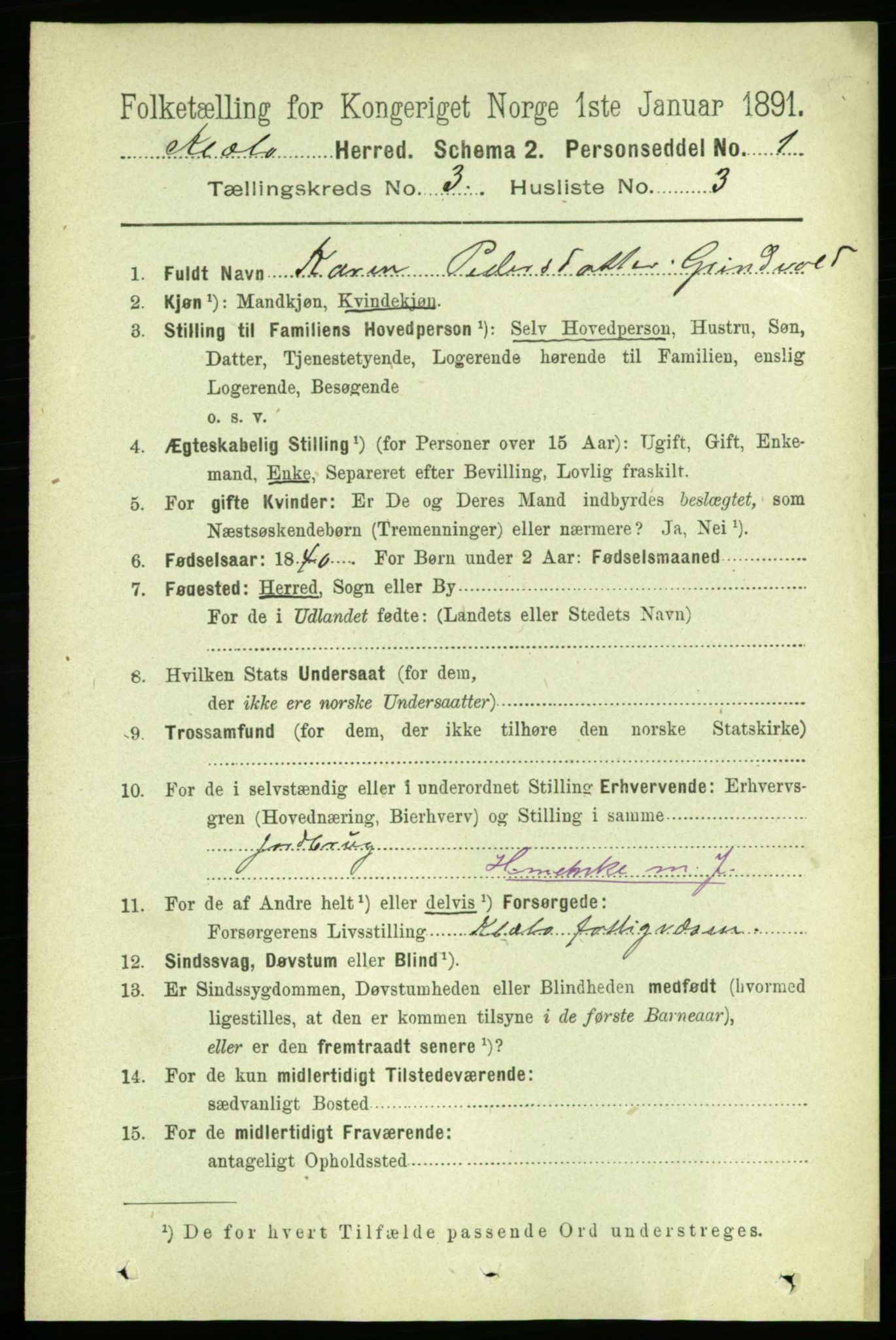 RA, 1891 census for 1662 Klæbu, 1891, p. 389