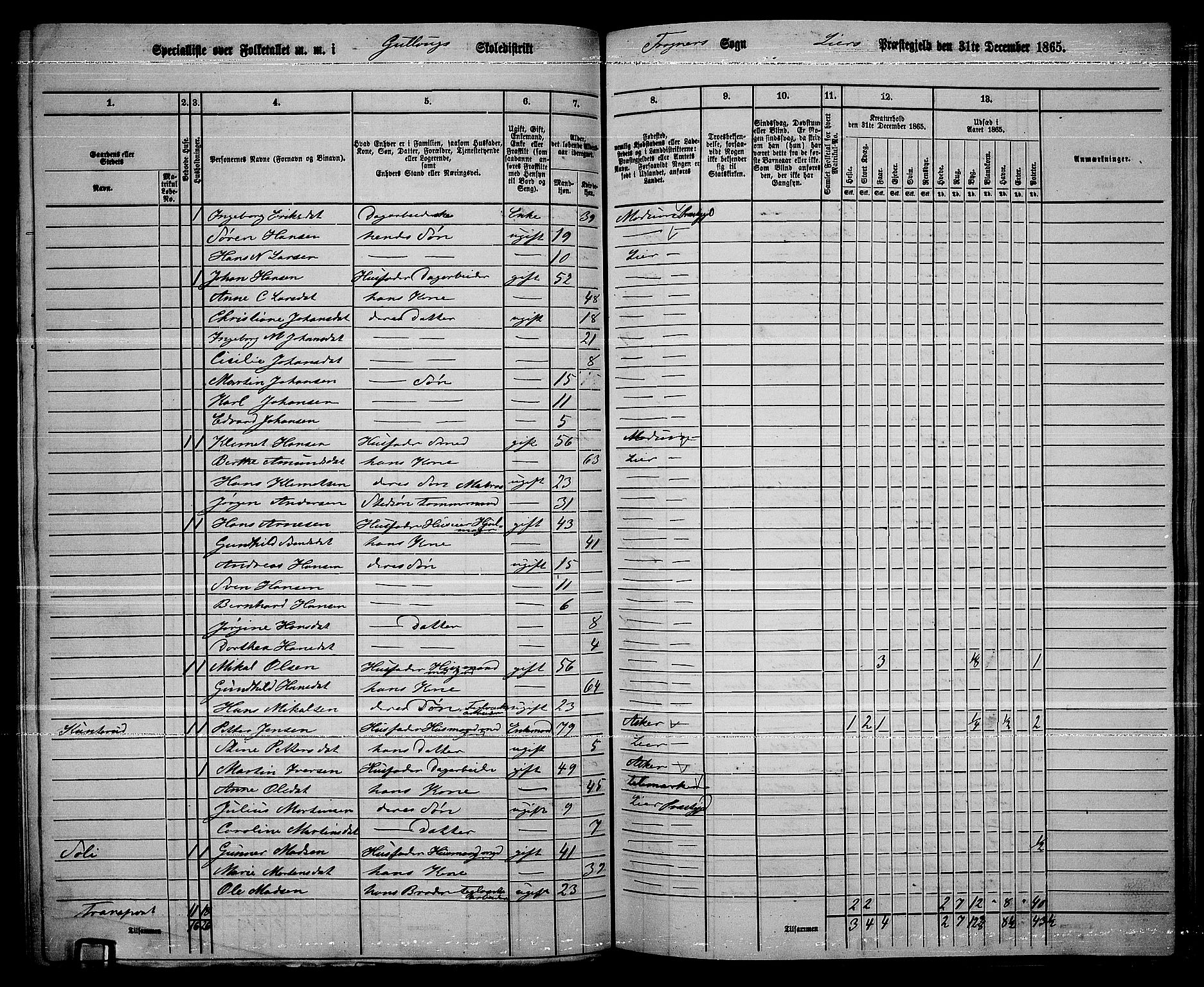 RA, 1865 census for Lier, 1865, p. 149