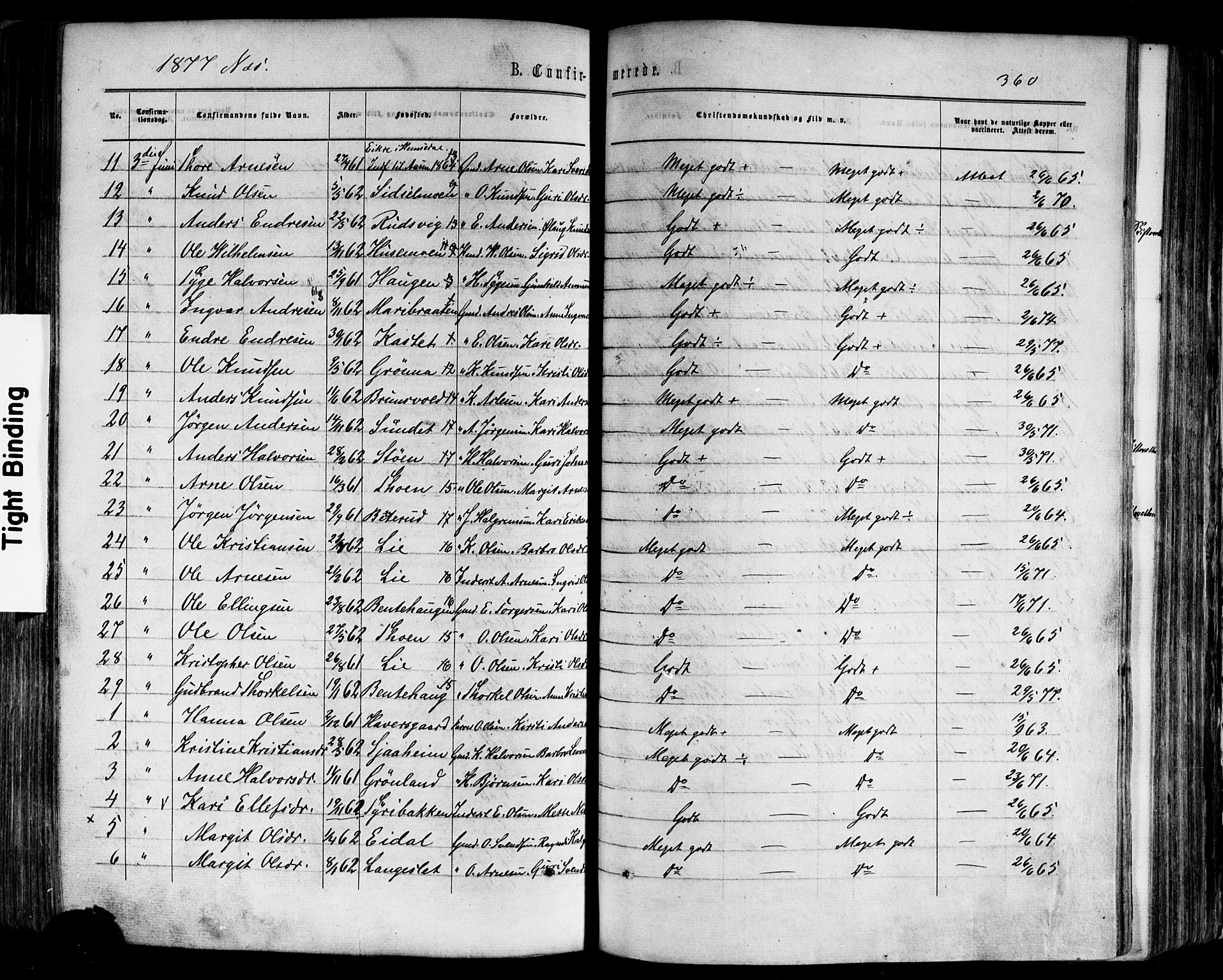 Nes kirkebøker, AV/SAKO-A-236/F/Fa/L0010: Parish register (official) no. 10, 1864-1880, p. 360