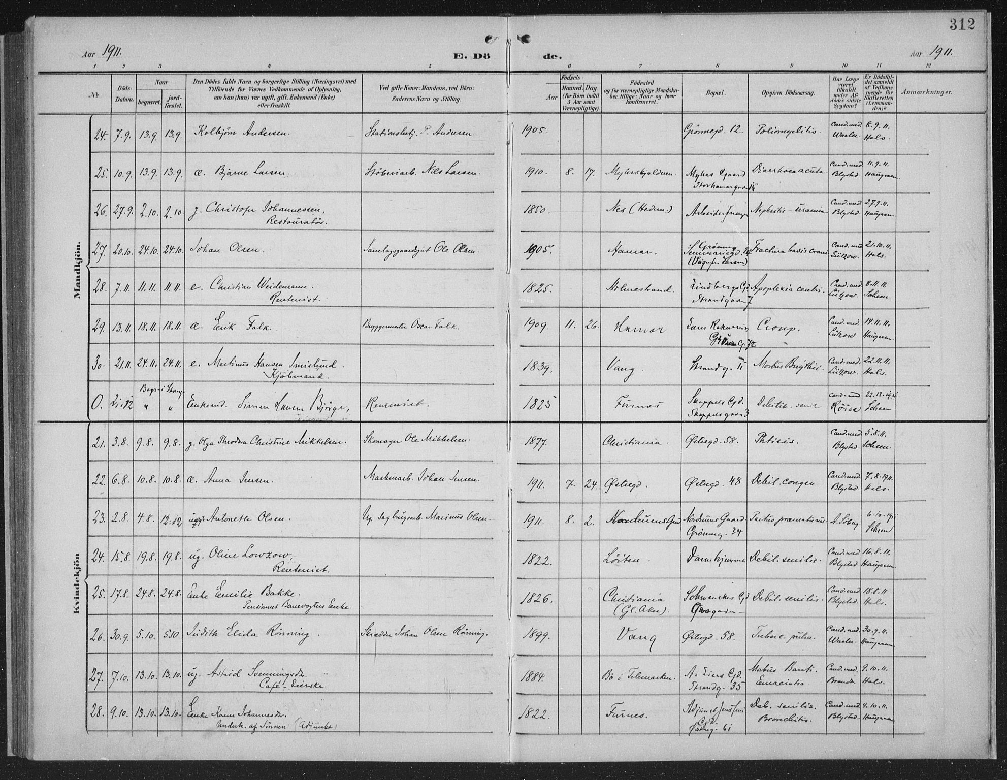 Hamar prestekontor, AV/SAH-DOMPH-002/H/Ha/Haa/L0001: Parish register (official) no. 1, 1900-1914, p. 312