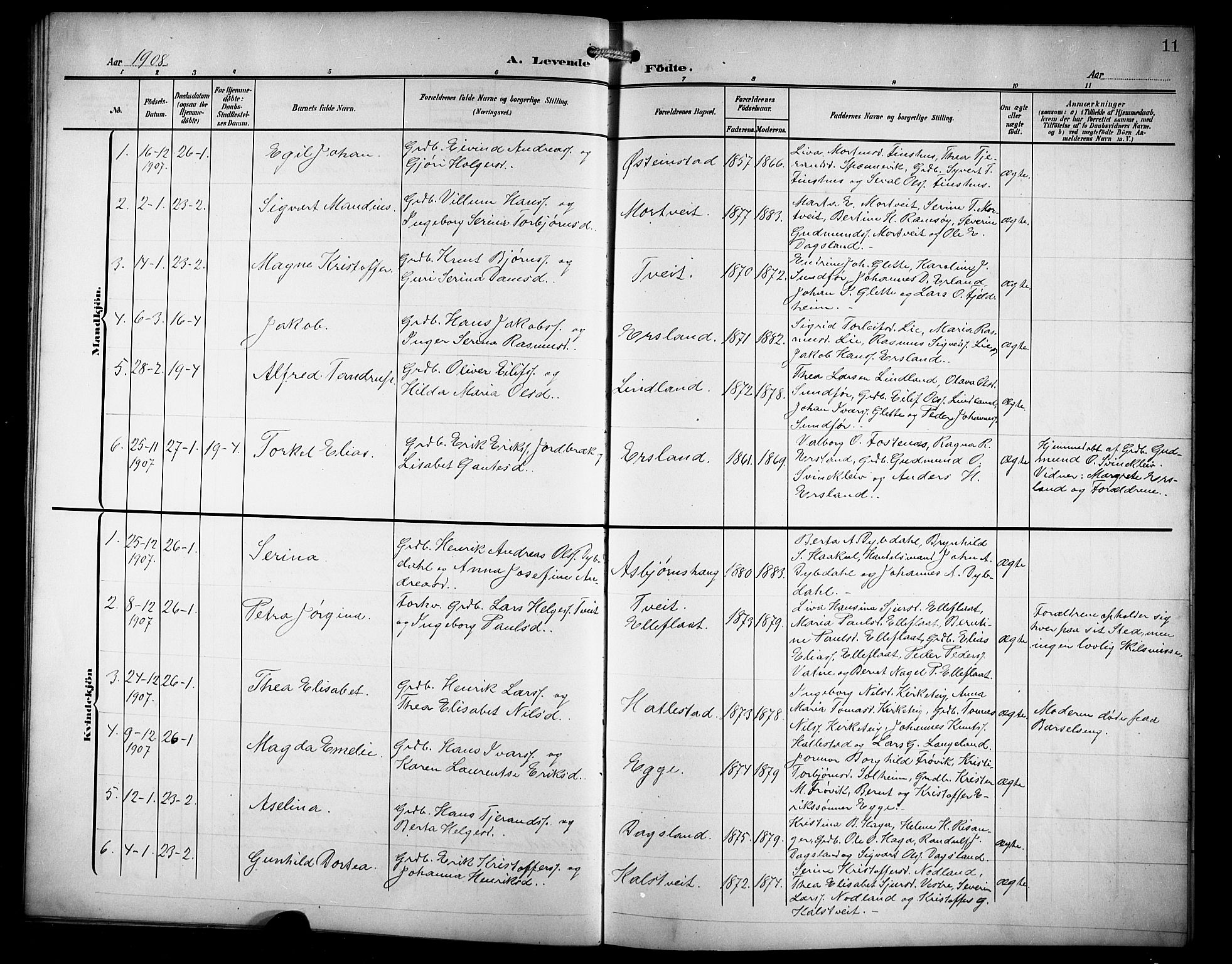 Skjold sokneprestkontor, AV/SAST-A-101847/H/Ha/Hab/L0008: Parish register (copy) no. B 8, 1906-1920, p. 11