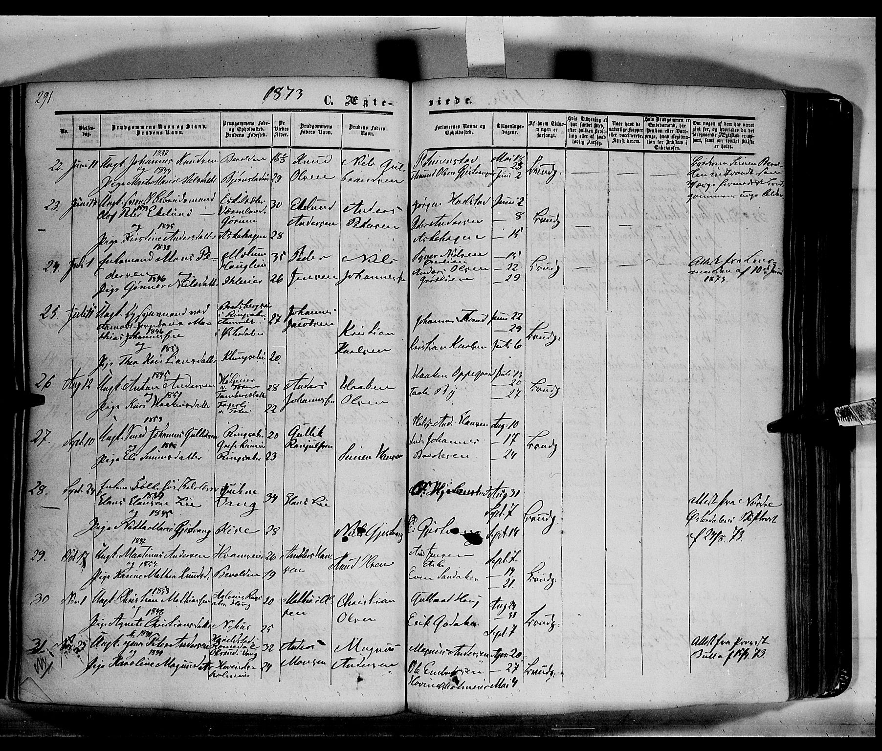 Nes prestekontor, Hedmark, AV/SAH-PREST-020/K/Ka/L0004: Parish register (official) no. 4, 1852-1886, p. 292