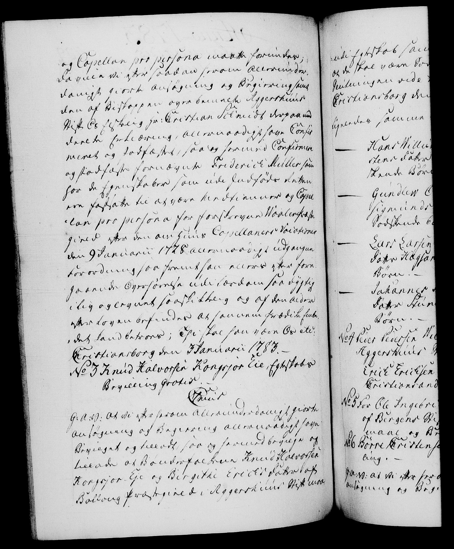 Danske Kanselli 1572-1799, RA/EA-3023/F/Fc/Fca/Fcaa/L0049: Norske registre, 1782-1783, p. 409b